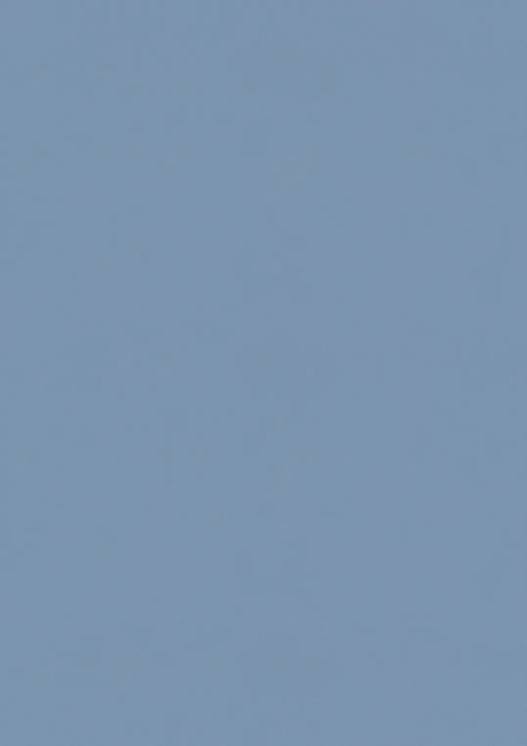 ESTRAD SAFETY R11/50 7748