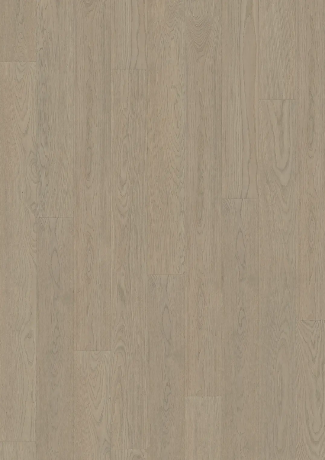 TAMMI CUMIN PLANK