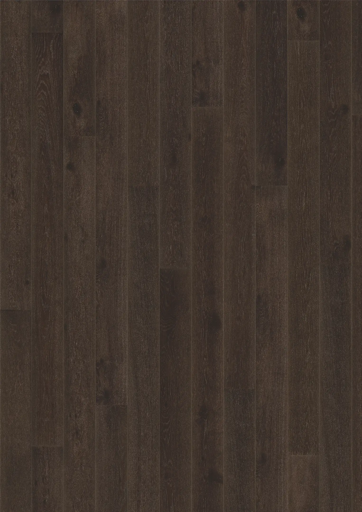 EK NOUVEAU BLACK Prover Kährs