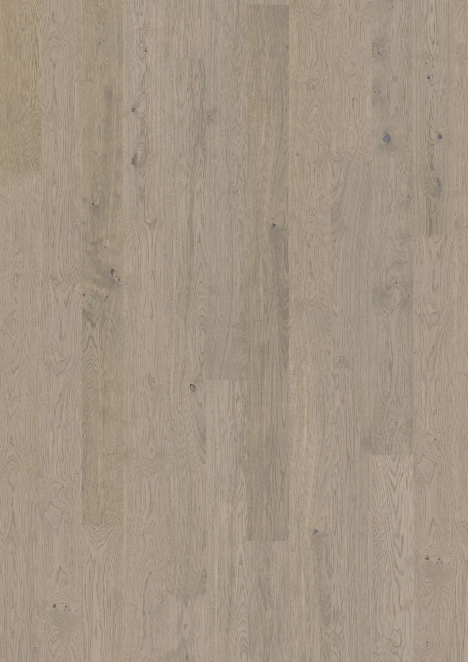 OAK SHORE Floors Kährs