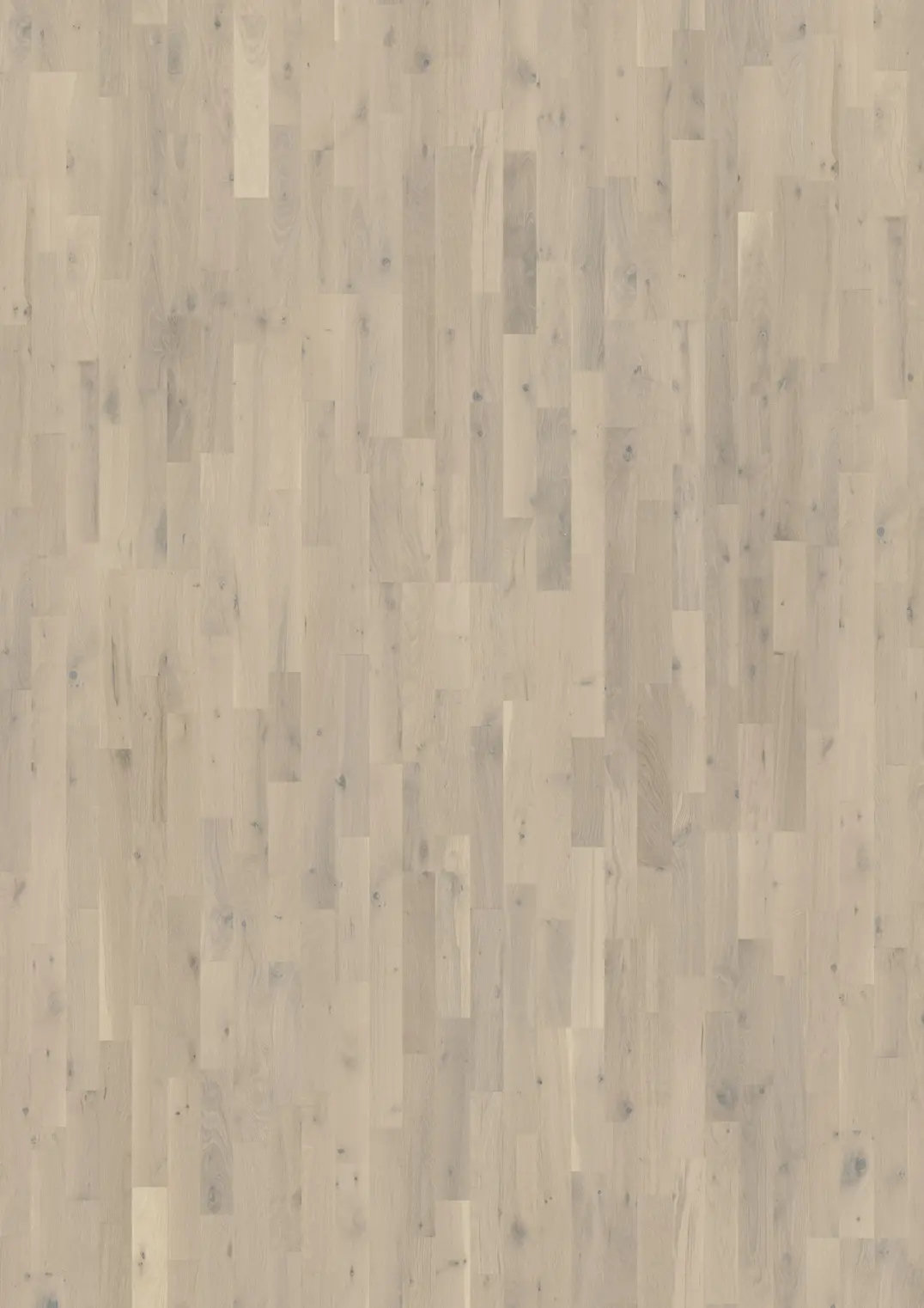 EICHE LOFT WHITE
