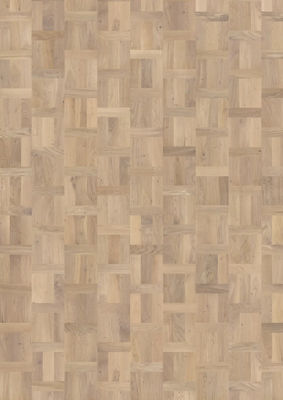 TAMMI PALAZZO BIONDO