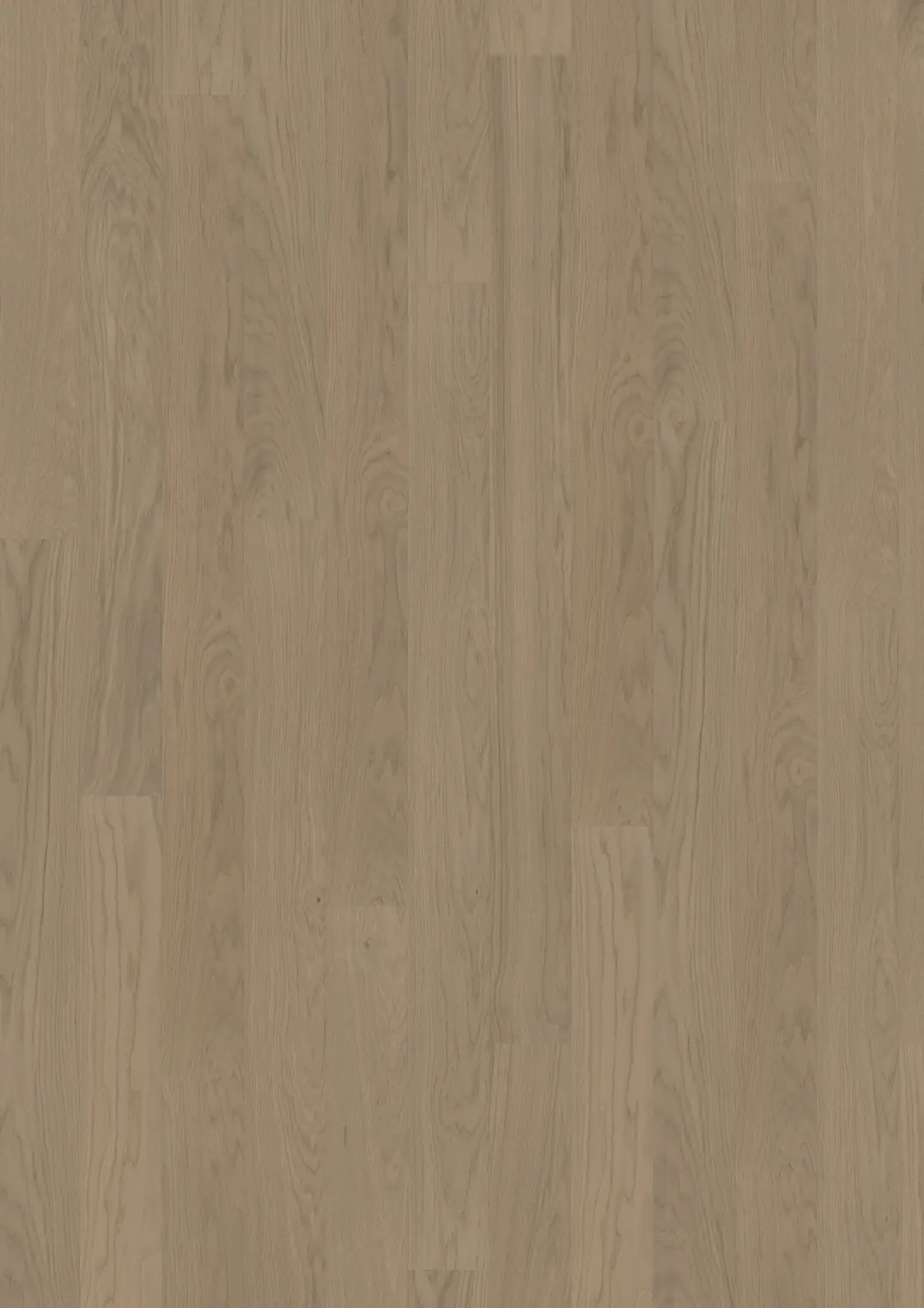 DRIFTWOOD WIDE