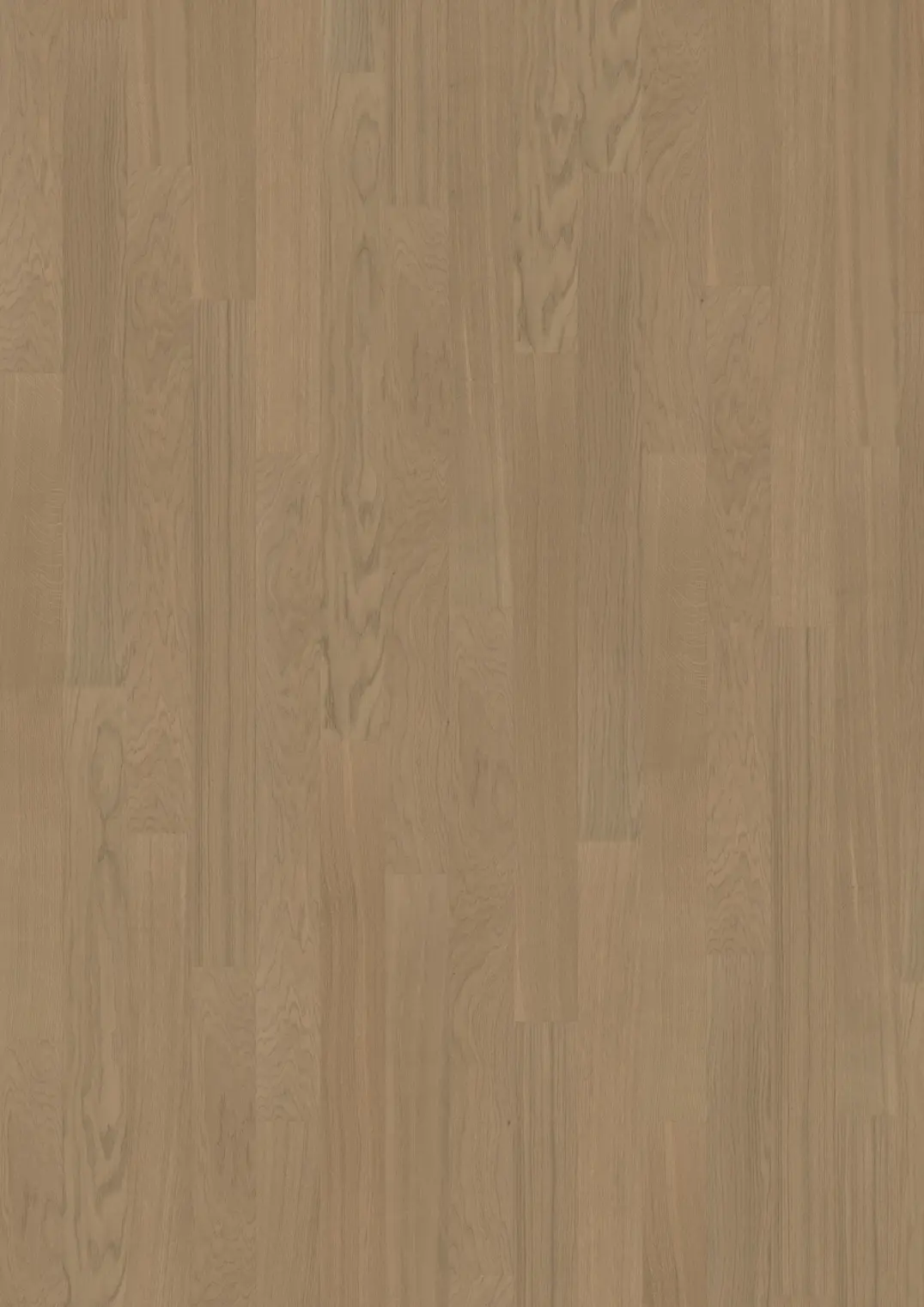 BUTTERSCOTCH NARROW