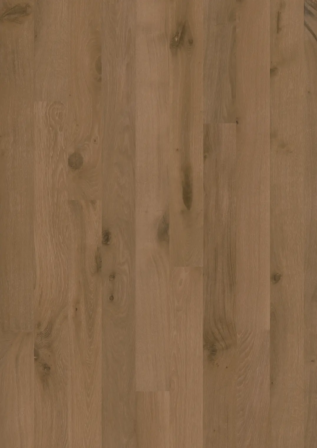 OAK WEATHERED