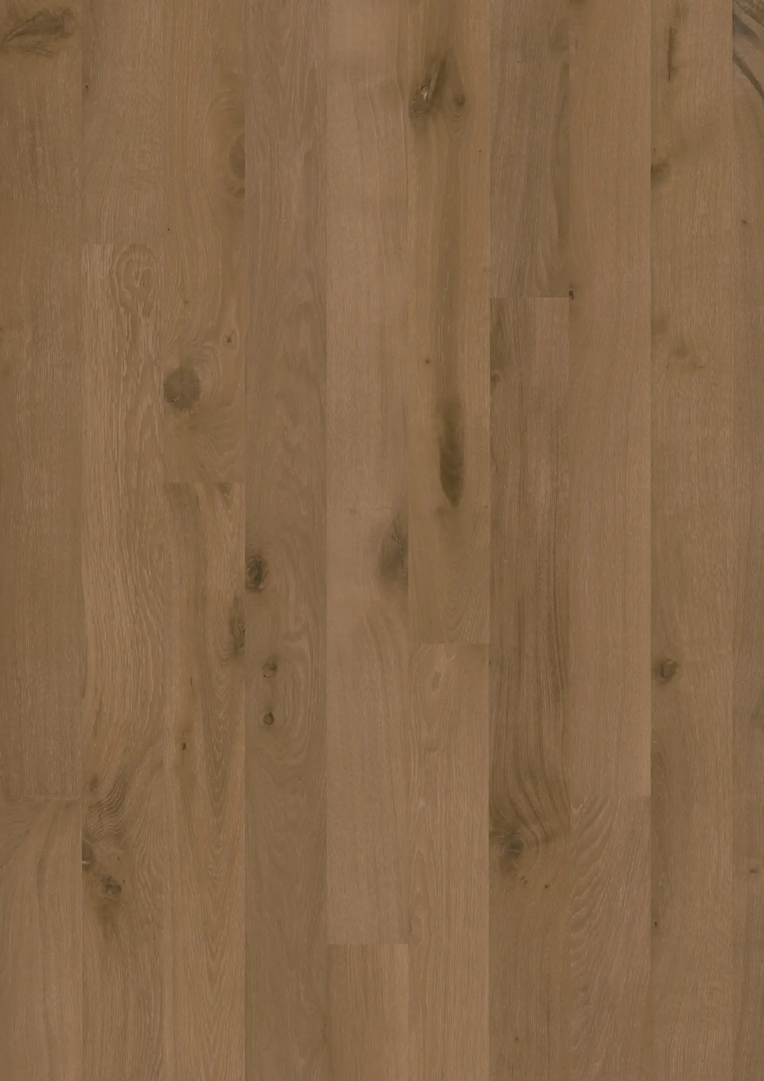 OAK WEATHERED Floors Kährs