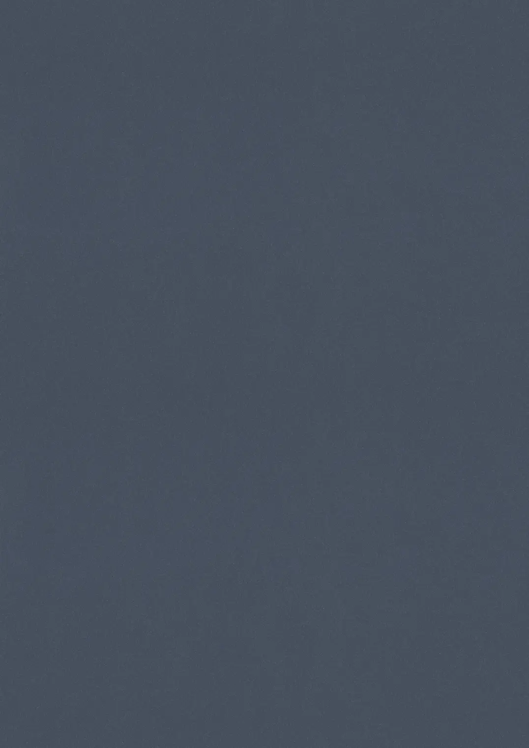 ESTRAD SAFETY R11/50 7749