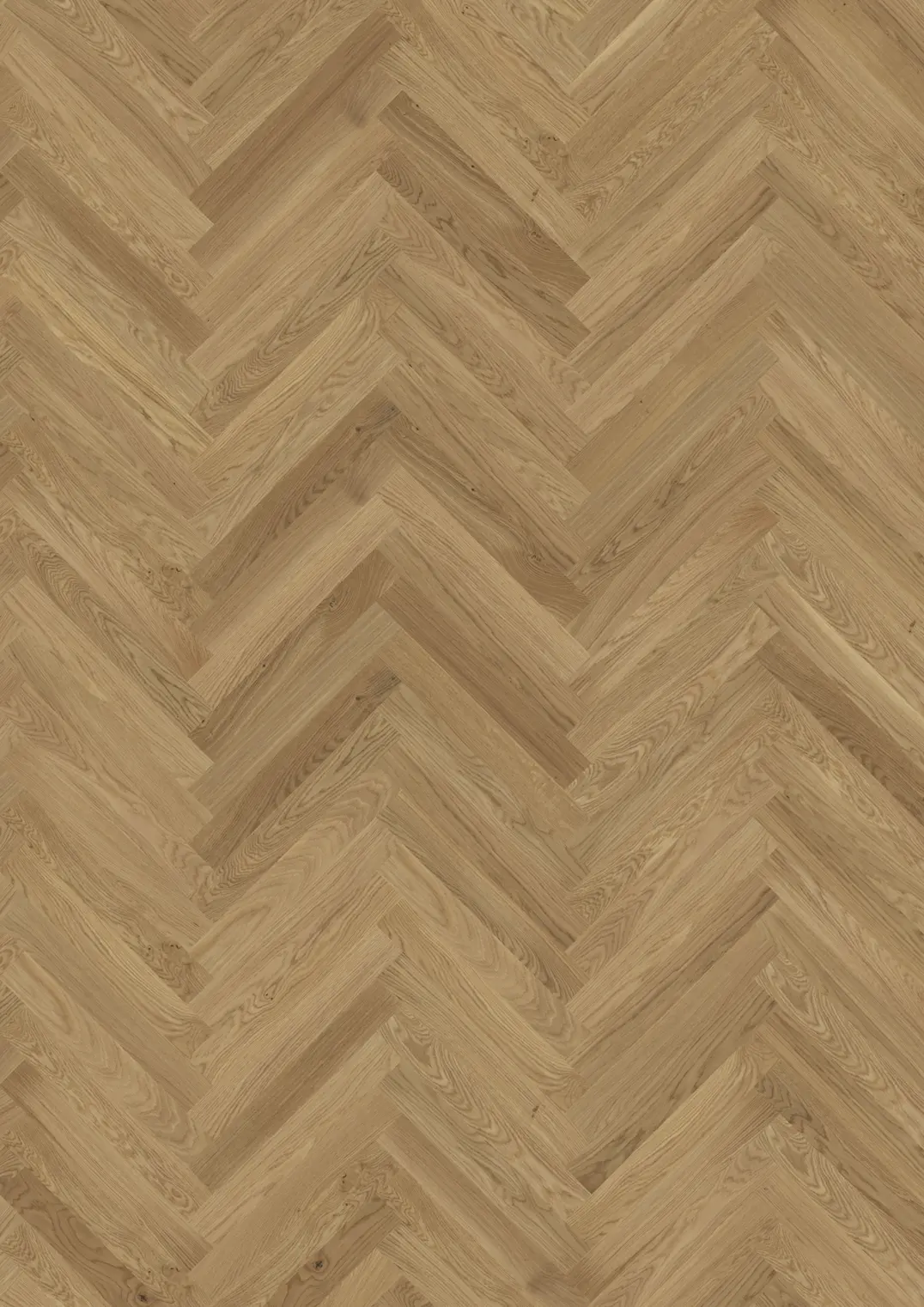 OAK STUDIO CD HB OILED