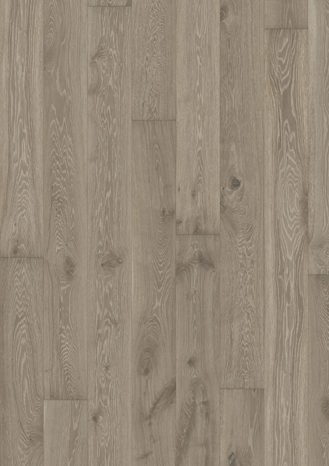 EICHE NOUVEAU GRAY