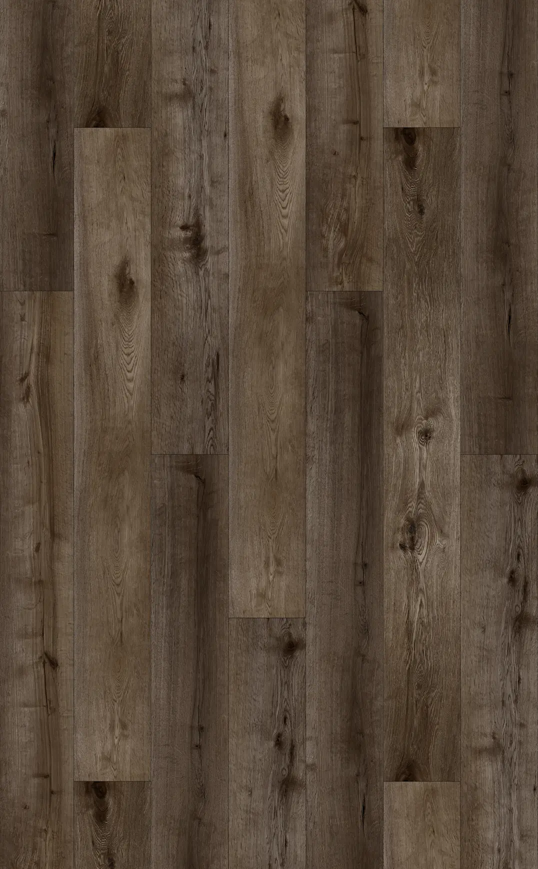 CELESTIAL CLICK PLANK
