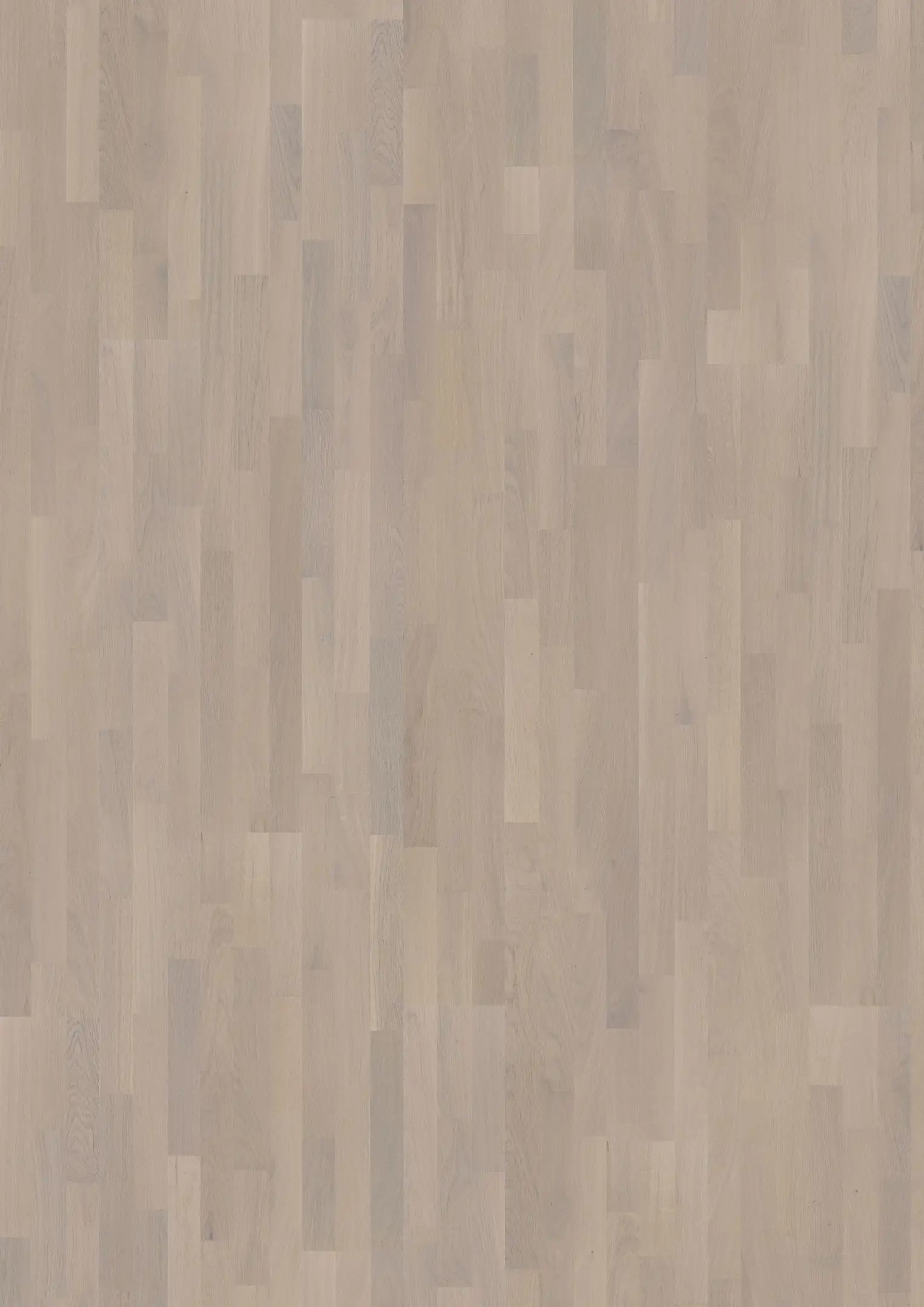 OAK CHALK Prøver Kährs