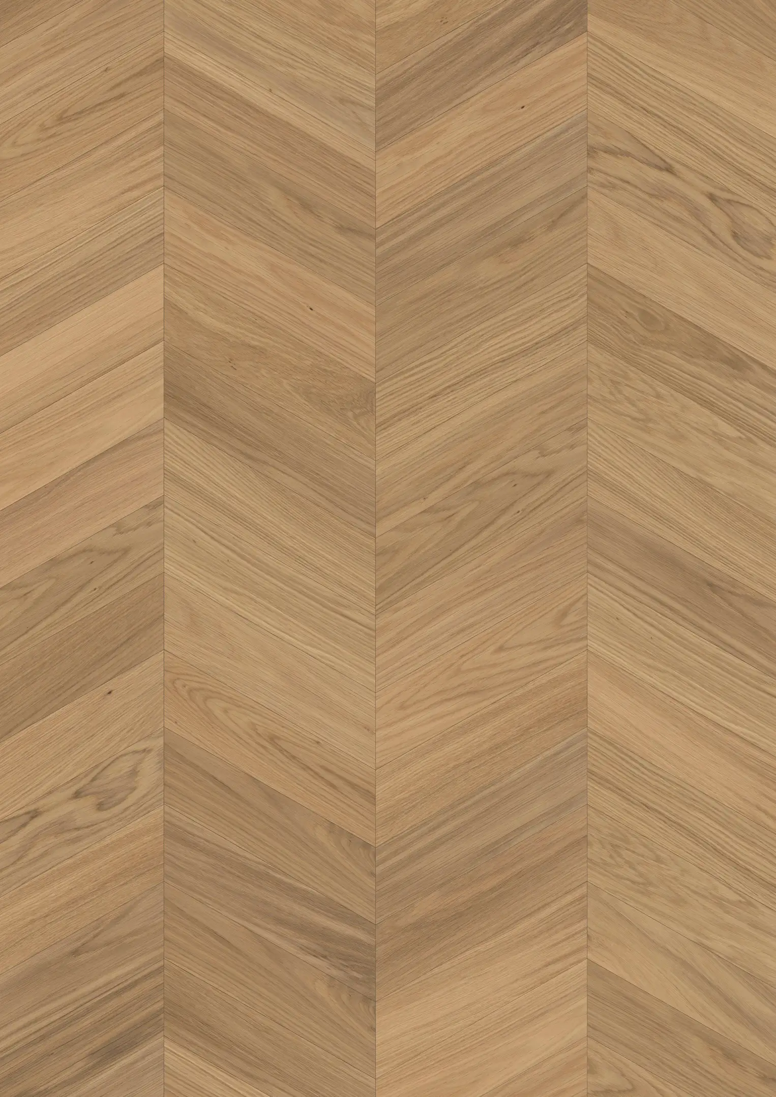 OAK CHEVRON AB WHITE OILED Prøver Kährs