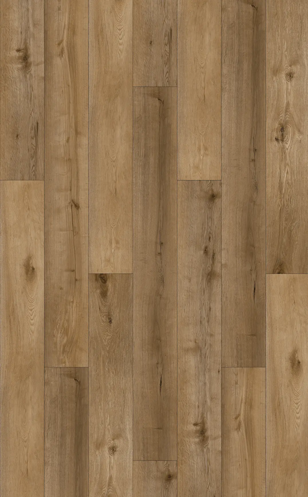 SOLANDRA CLICK PLANK