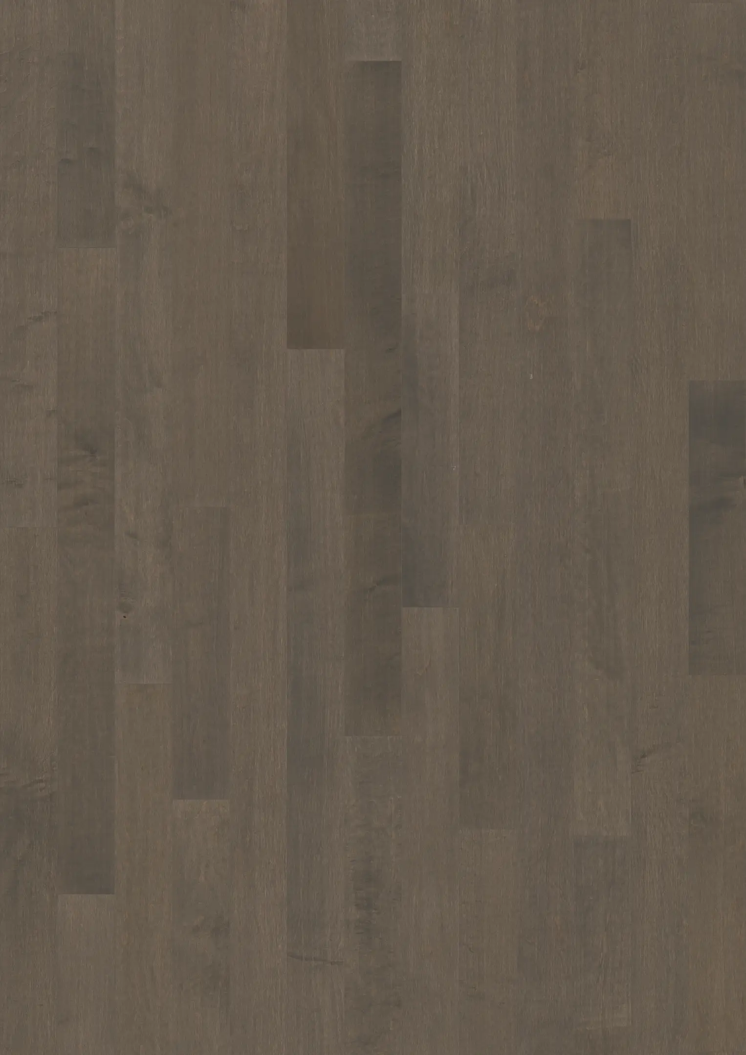 HARD MAPLE LYNDHURST MATTE Floors Kährs