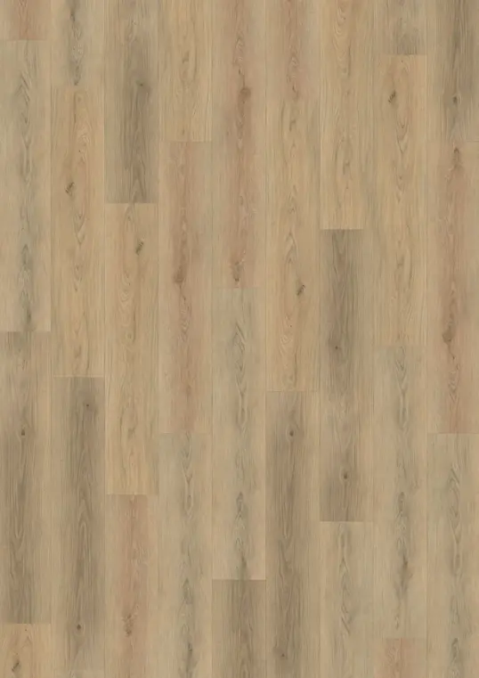 AMBER CLW 228