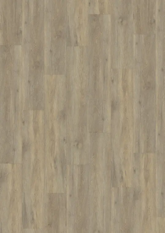TAIGA - CLICK 6 MM