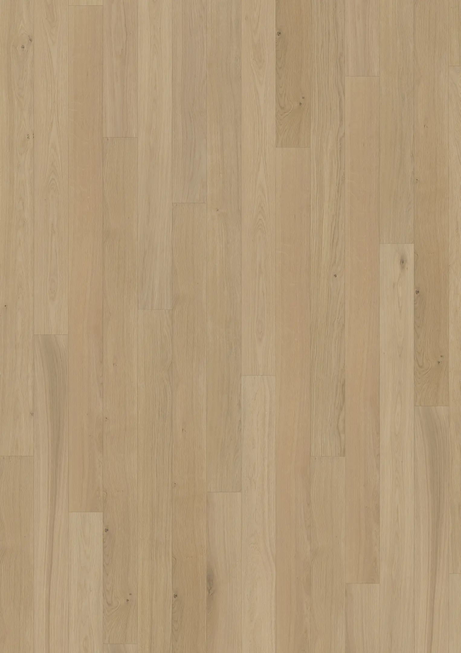 OAK FAWN Samples Kährs