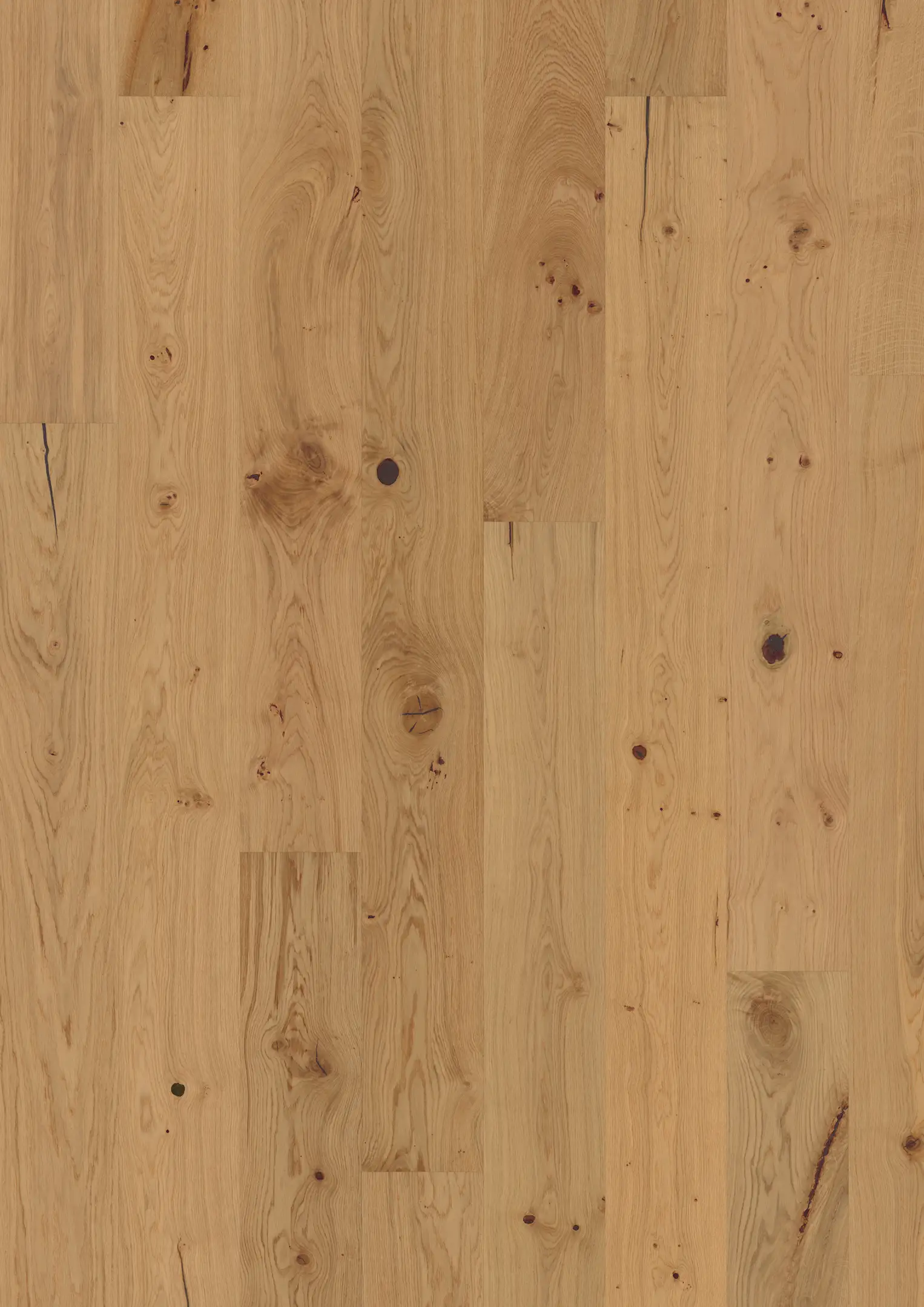 EICHE PRIMROSE Alle Bodenbeläge Kährs