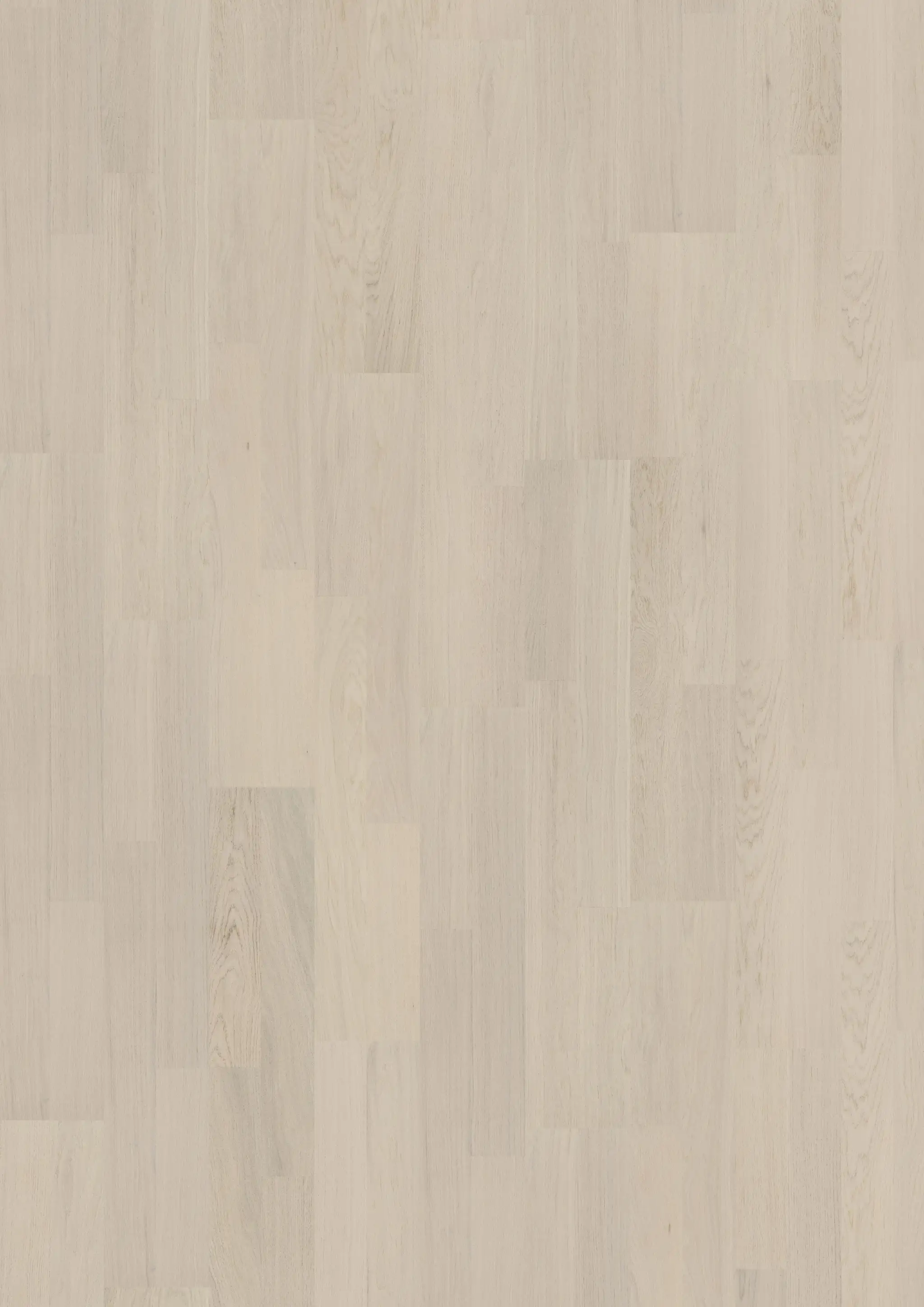 COCONUT CREAM 2-STRIP Samples Kährs