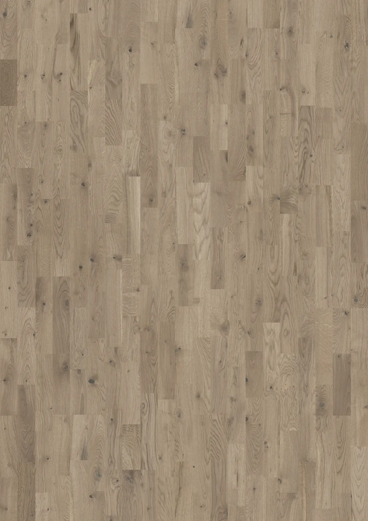 OAK FLINT Samples Kährs