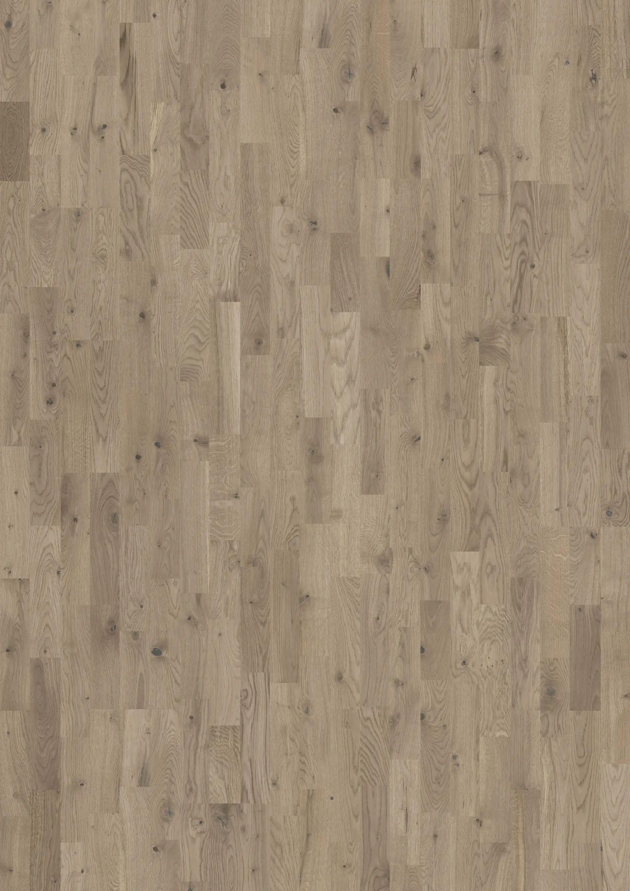 OAK FLINT Samples Kährs