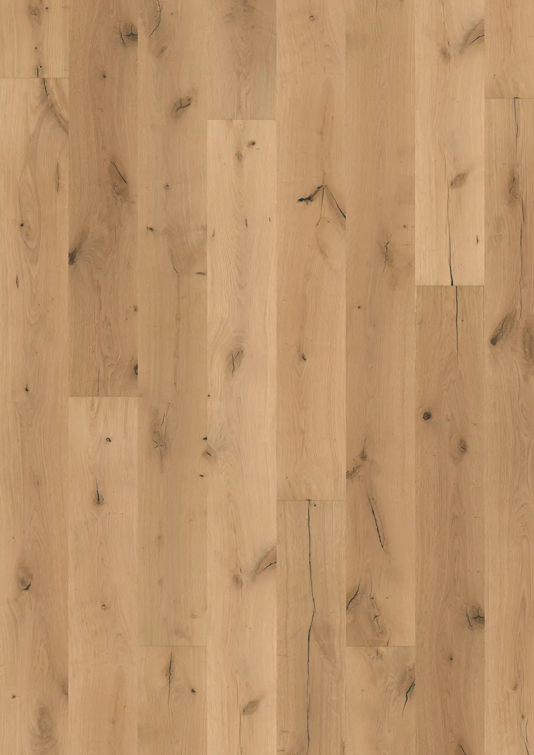 OAK BOREAS