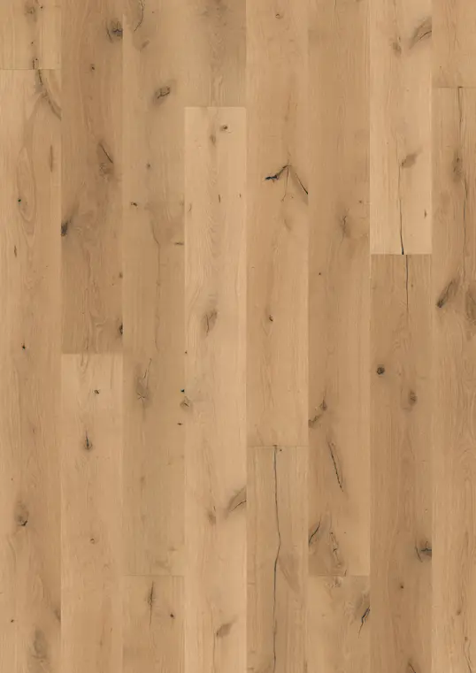 OAK BOREAS