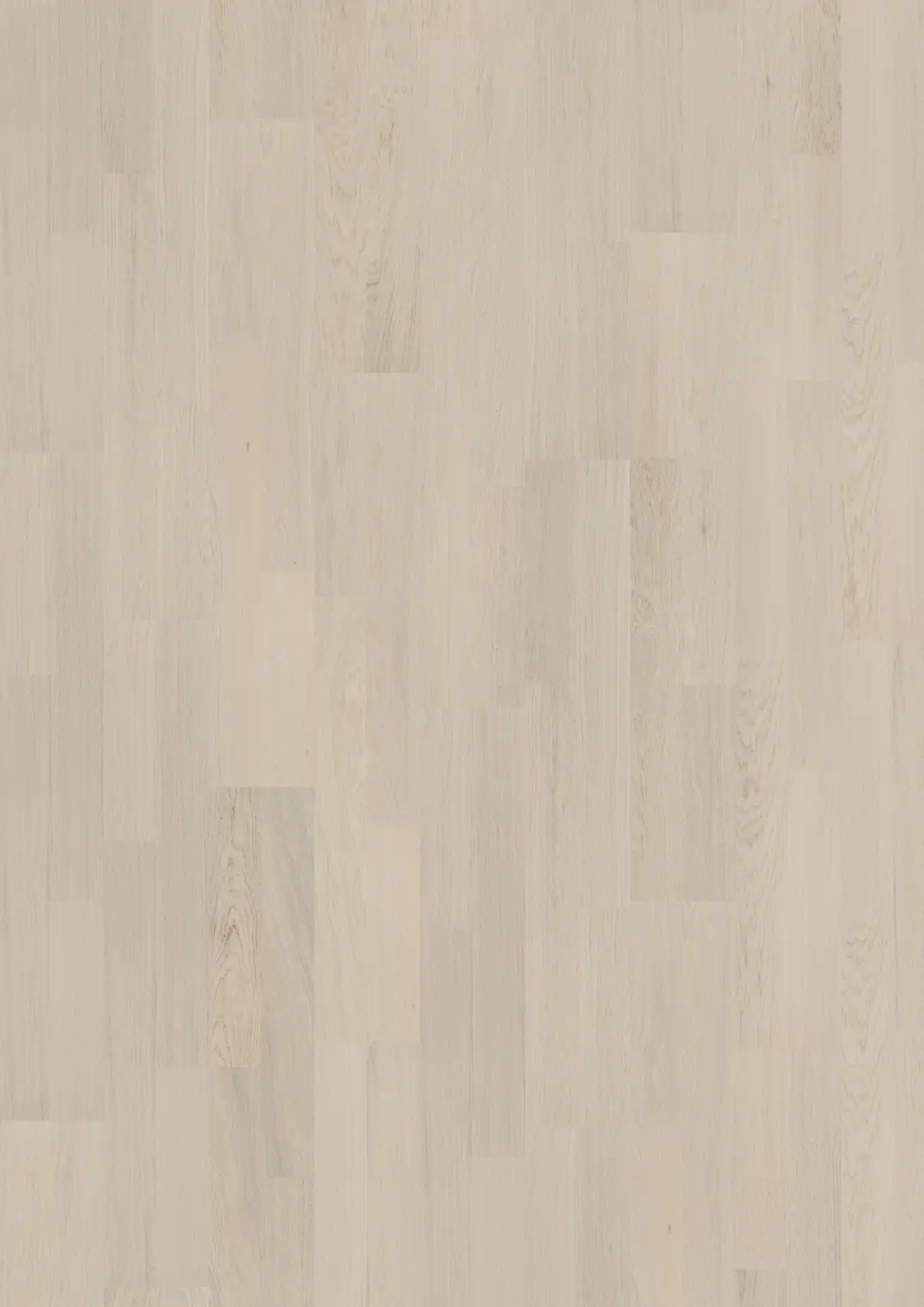 COCONUT CREAM 2-STRIP