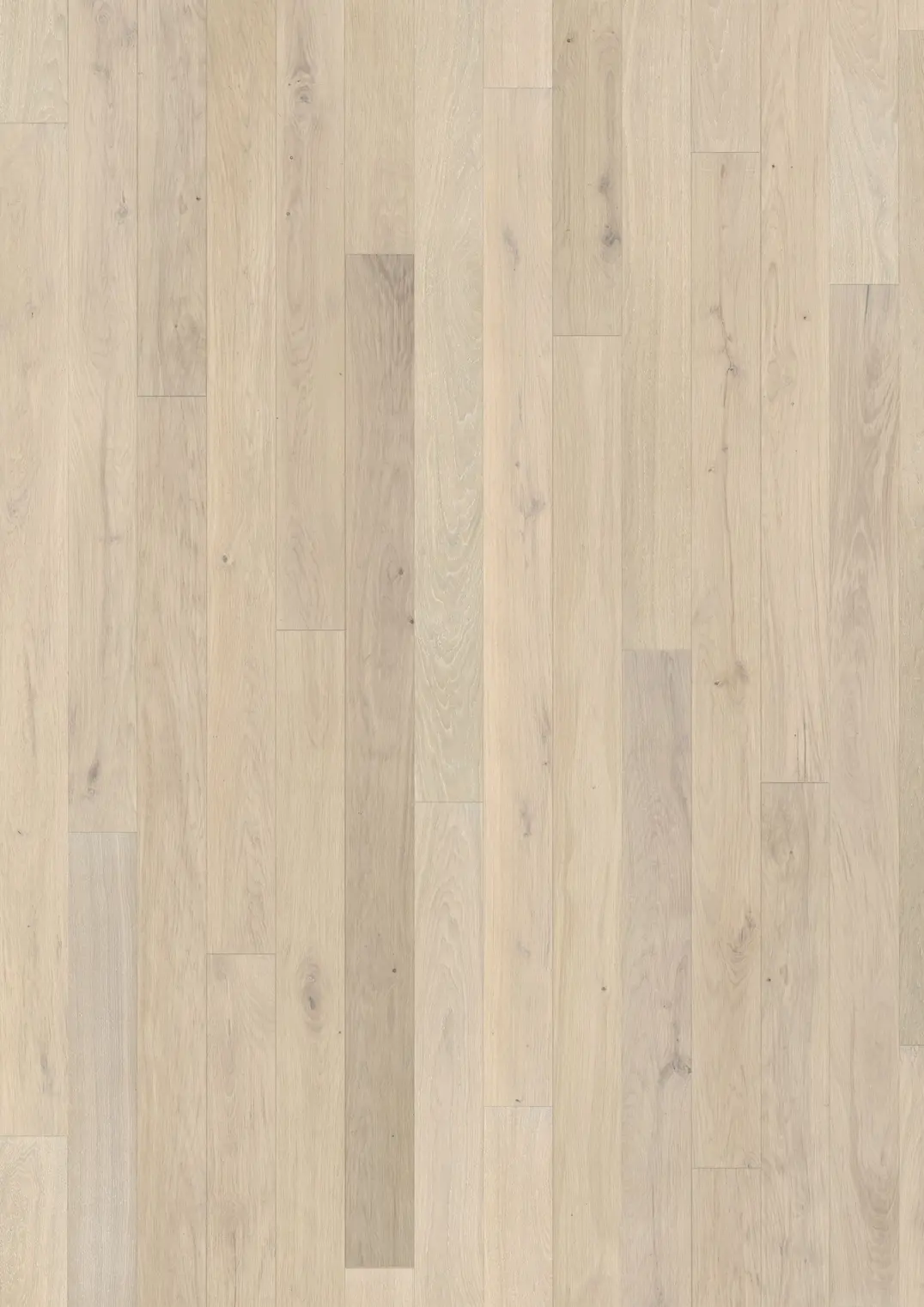 OAK CADENCE MATTE