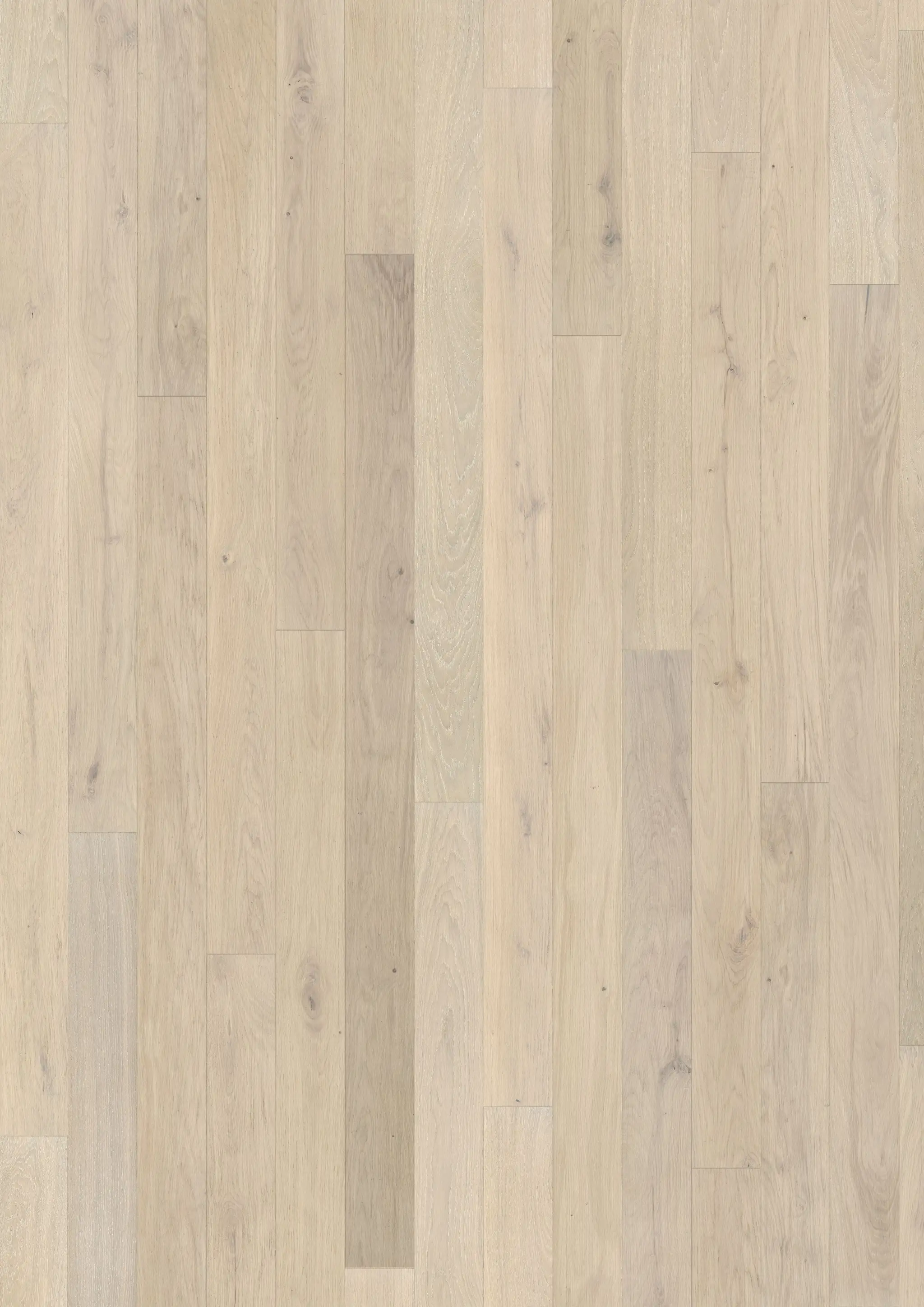 OAK CADENCE MATTE Floors Kährs