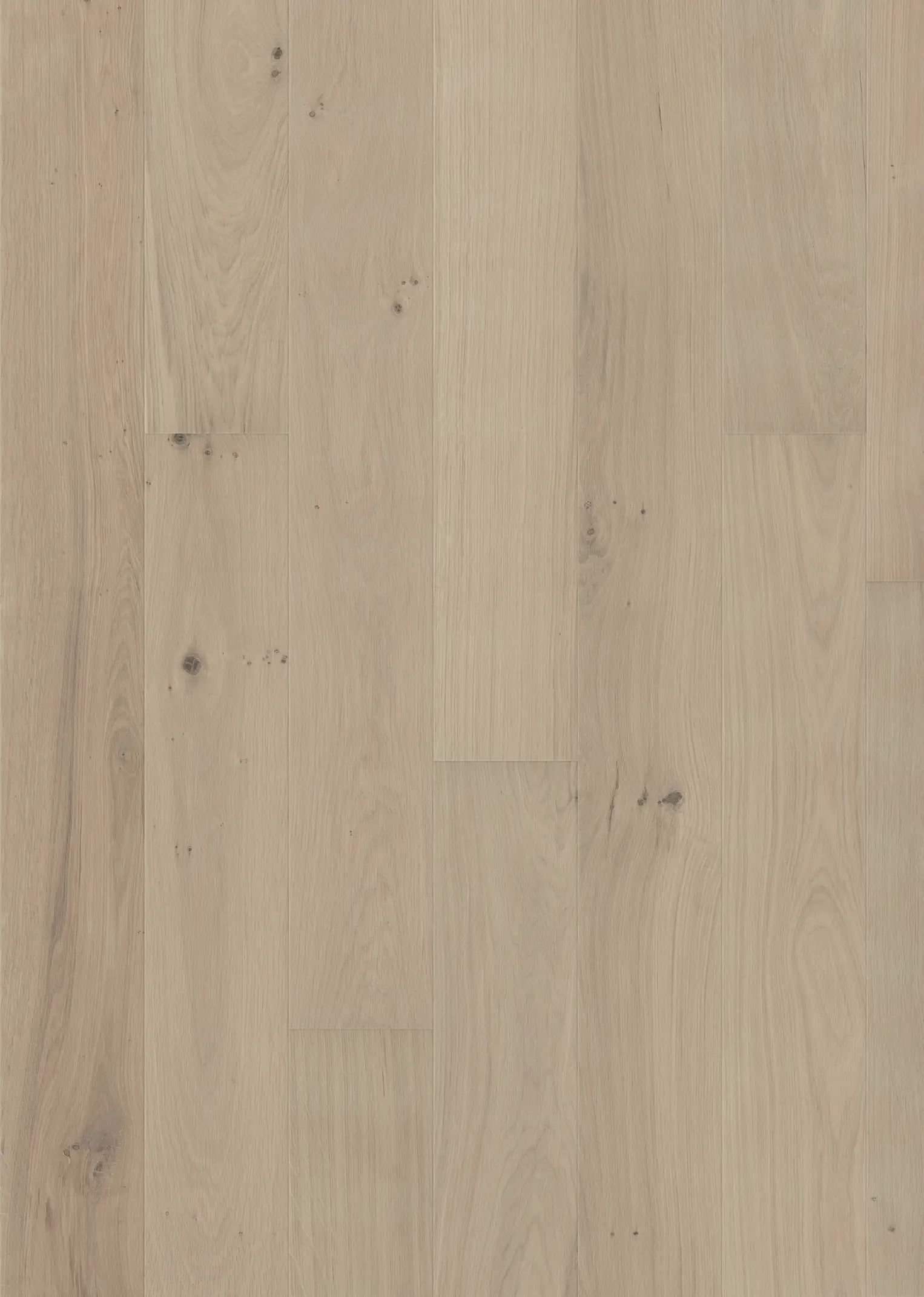 OAK MUSE WIDE MATTE Floors Kährs