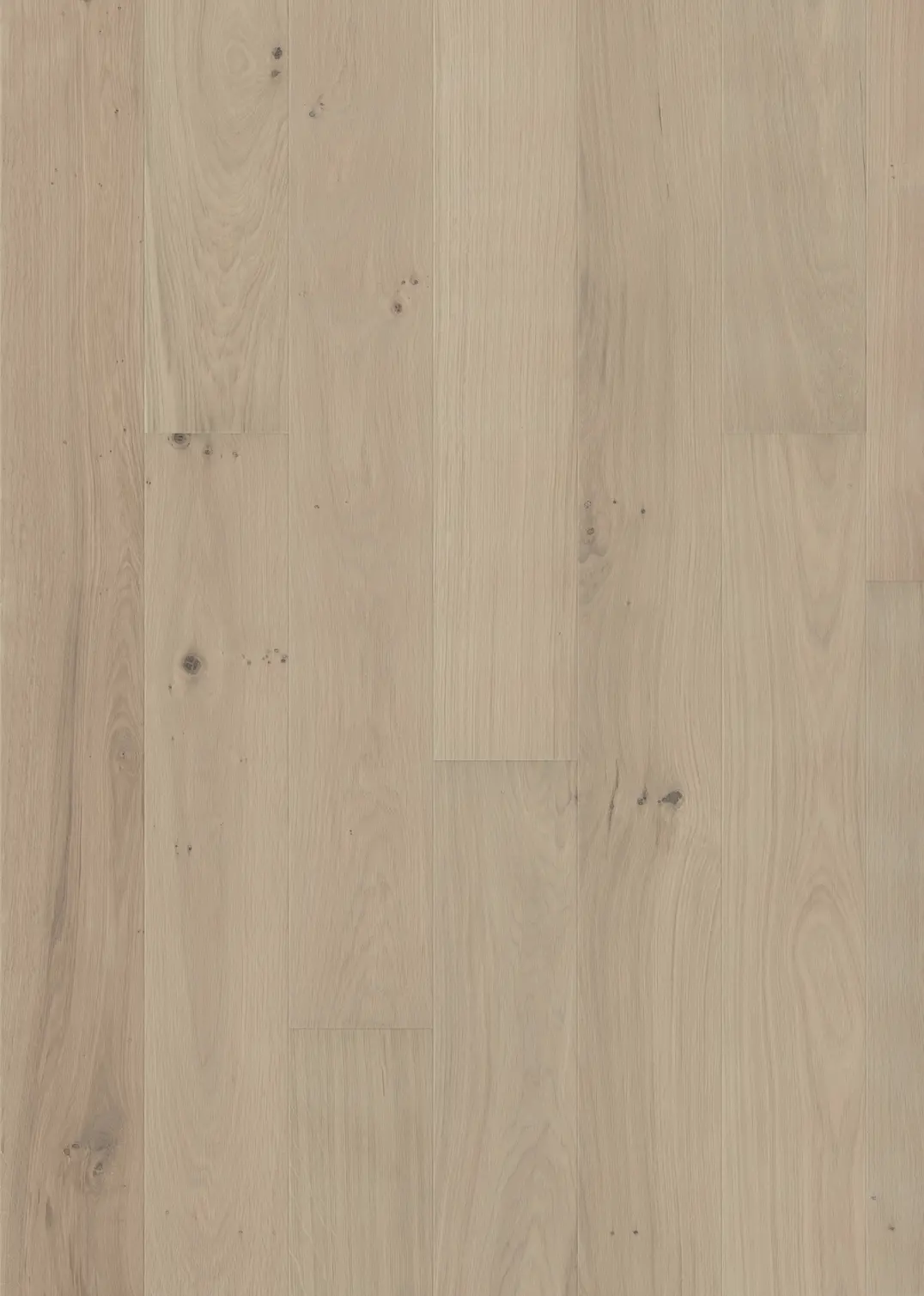 OAK MUSE WIDE MATTE