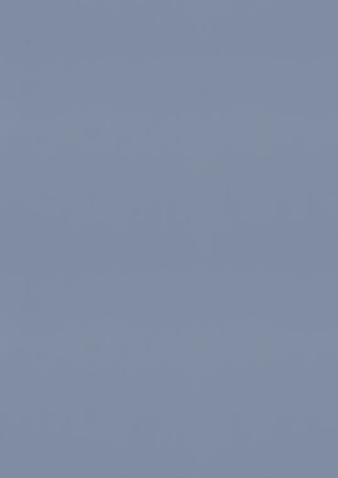 ESTRAD SAFETY R11/45 7764