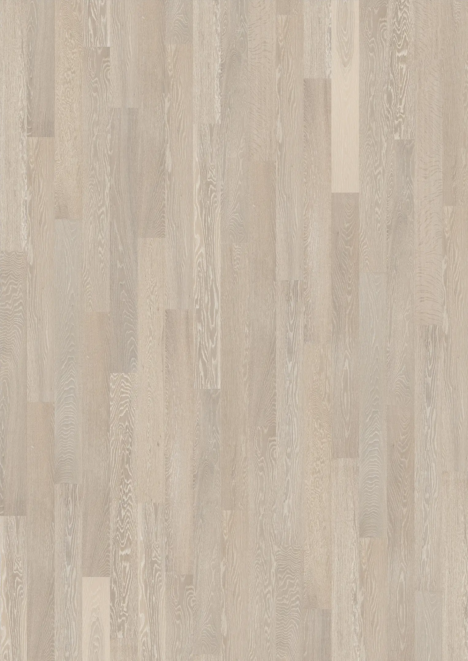 ARCTIC OAK Samples Kährs