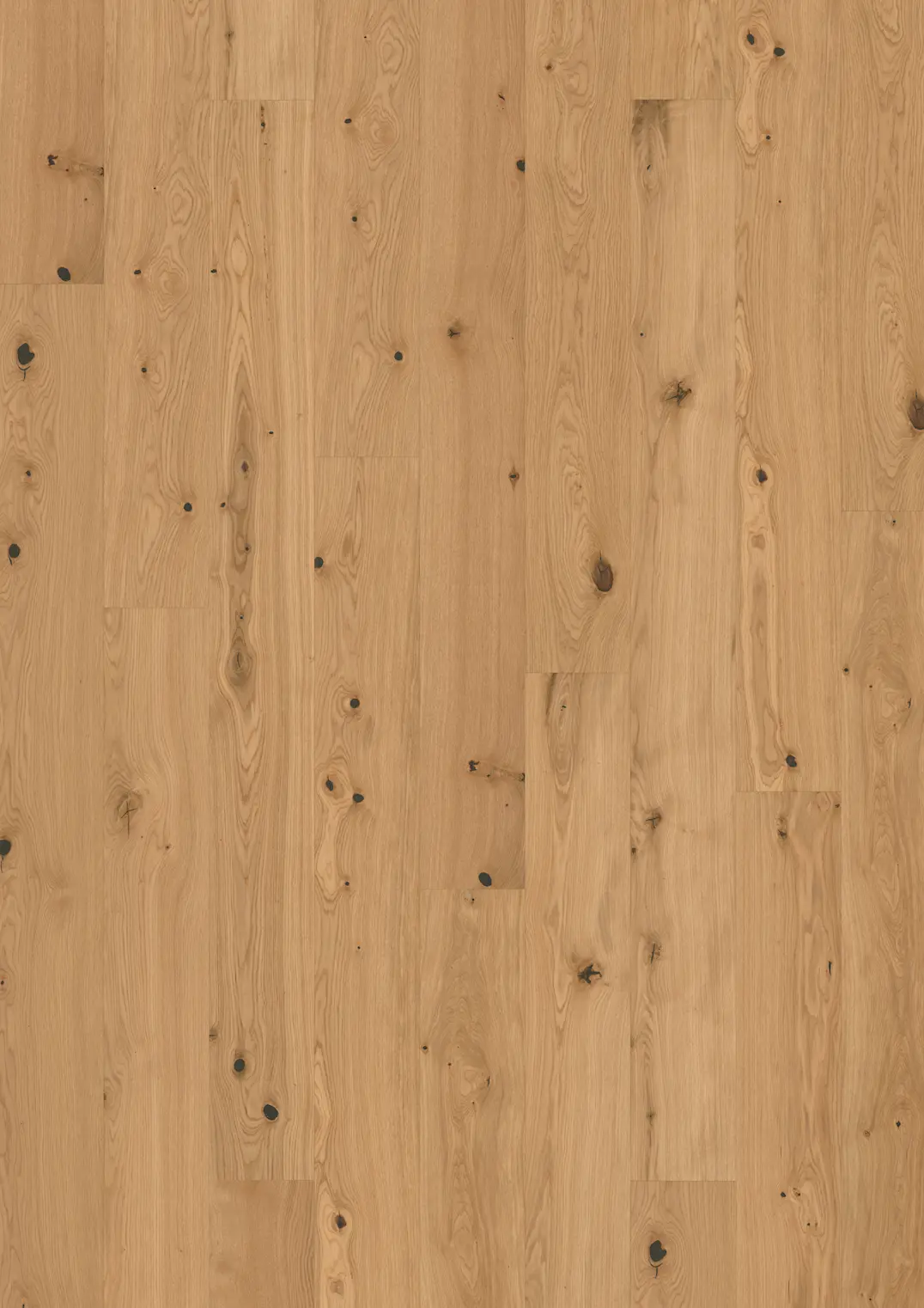 TAMMI CARDAMOM PLANK