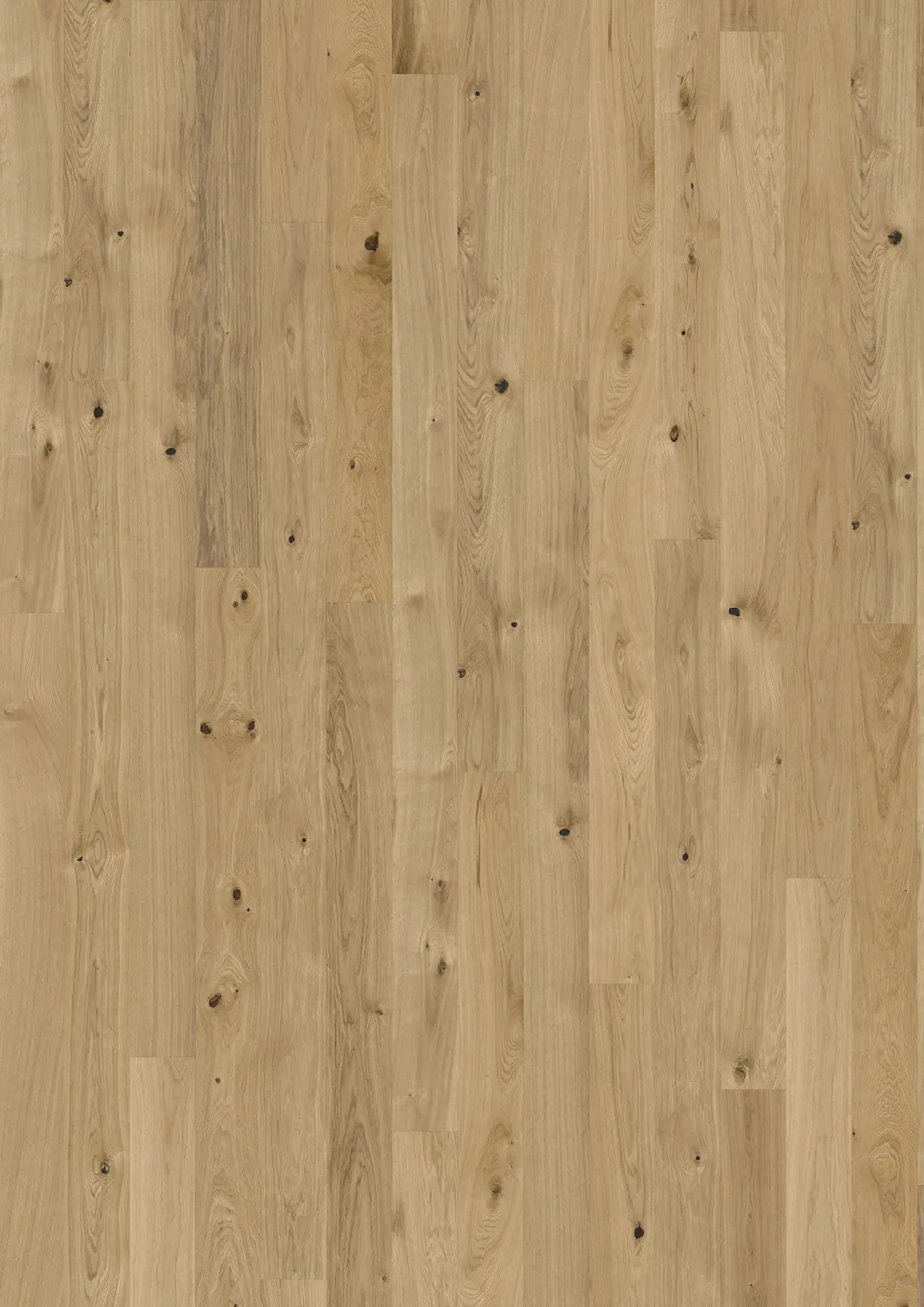 OAK PURE