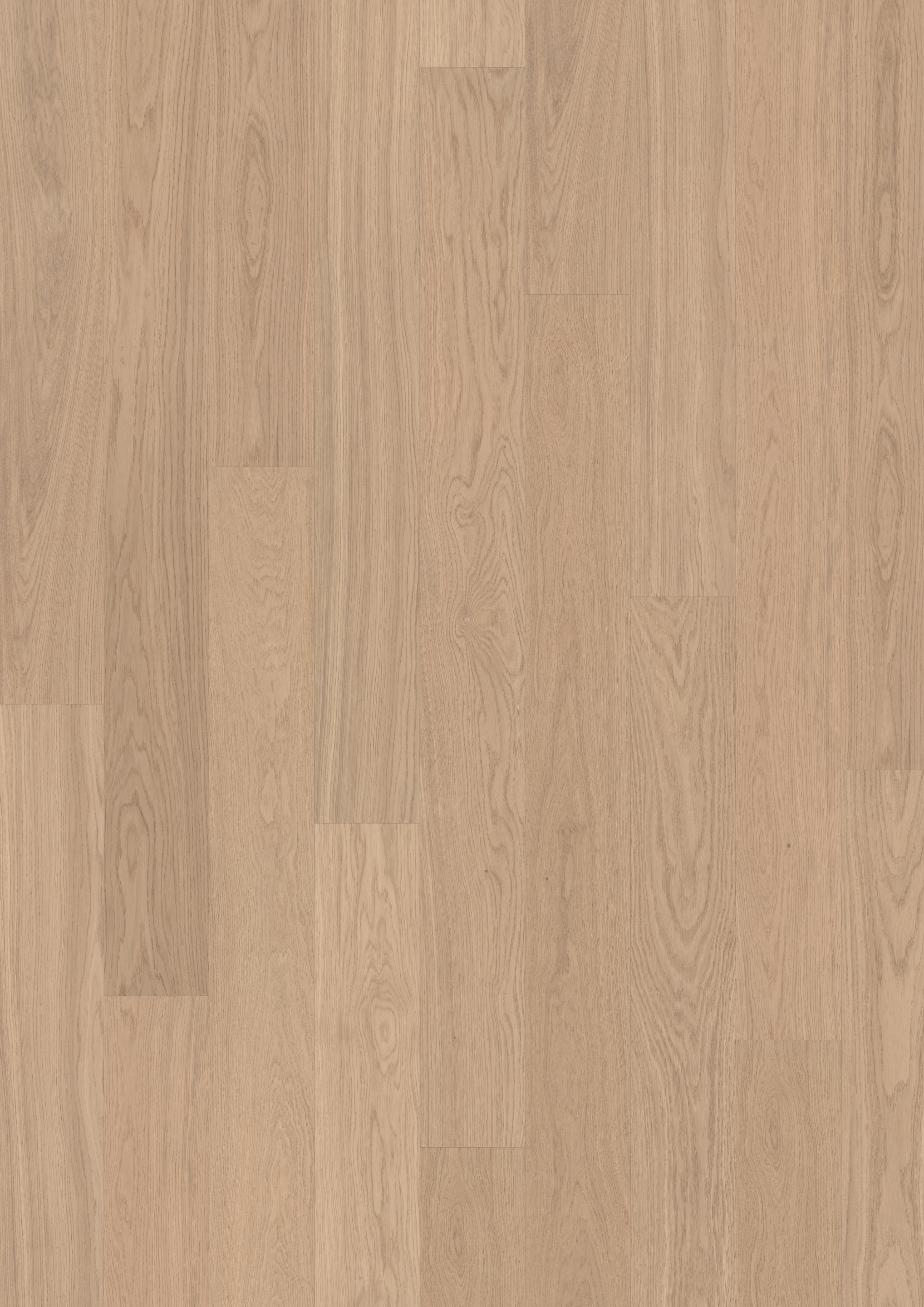 OAK GINGER PLANK - Kährs