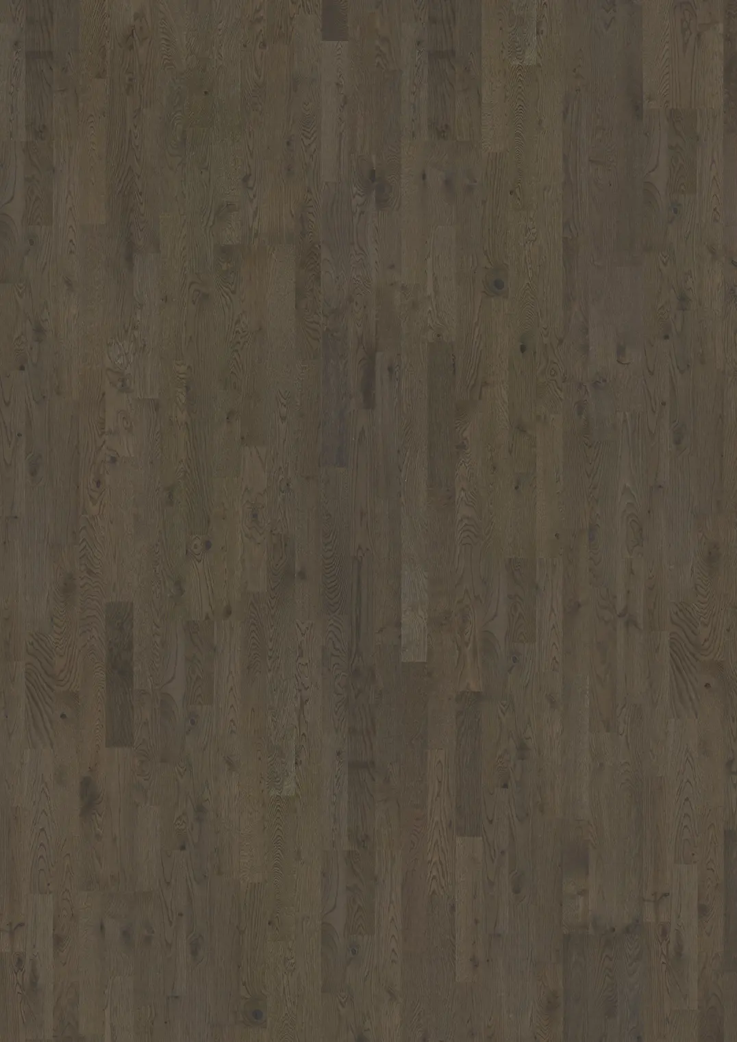 EICHE CHARCOAL LIGHT