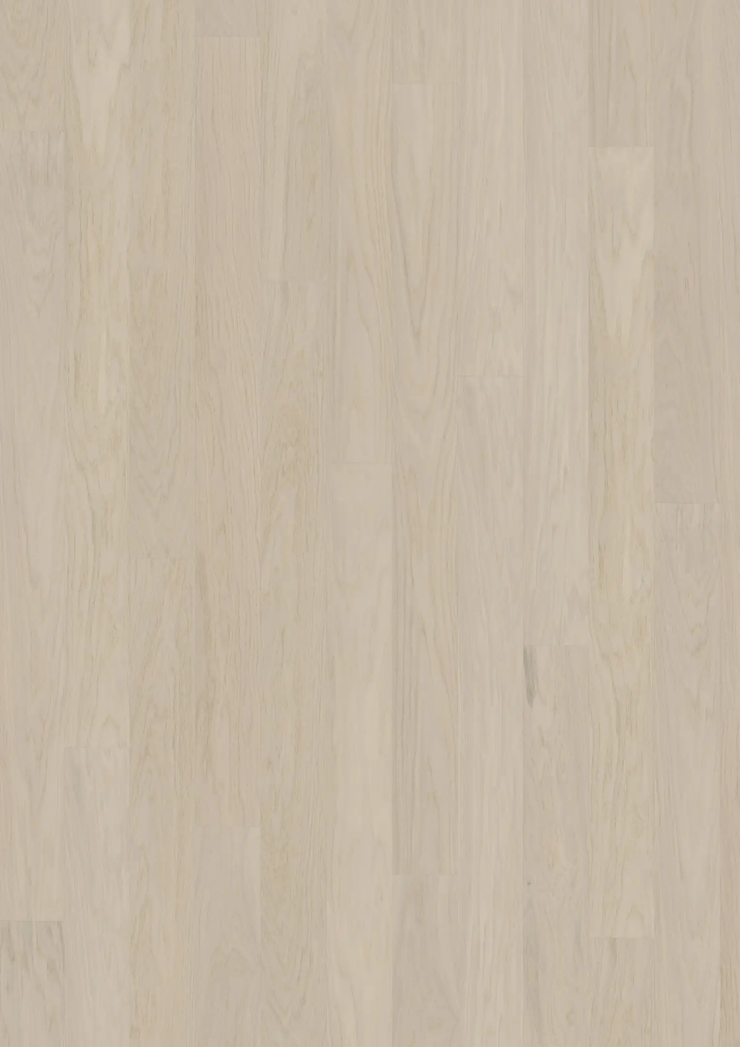 COCONUT CREAM WIDE Prøver Kährs