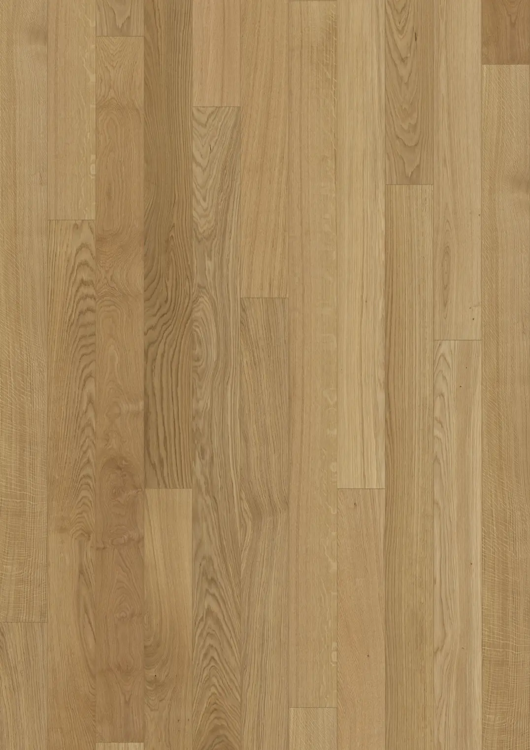 OAK TAPA MATTE