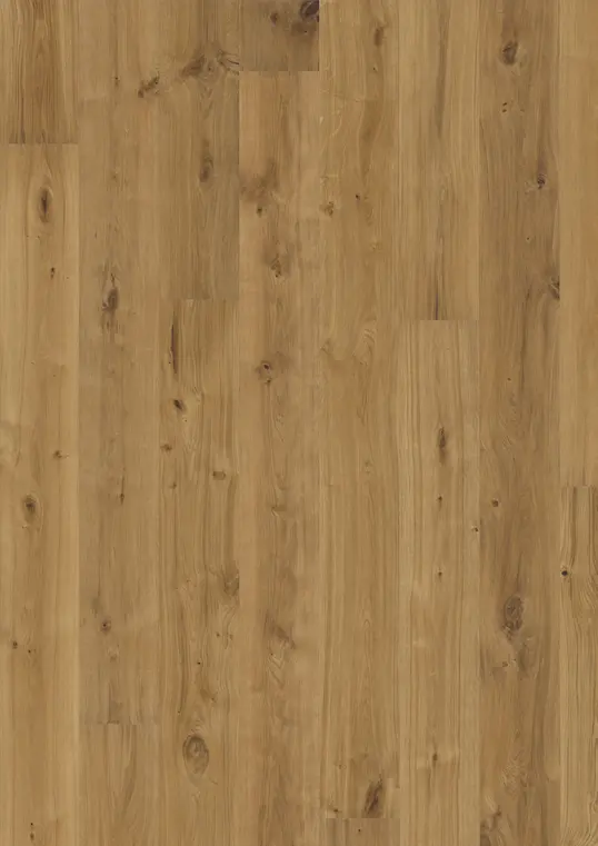 OAK VEDBO