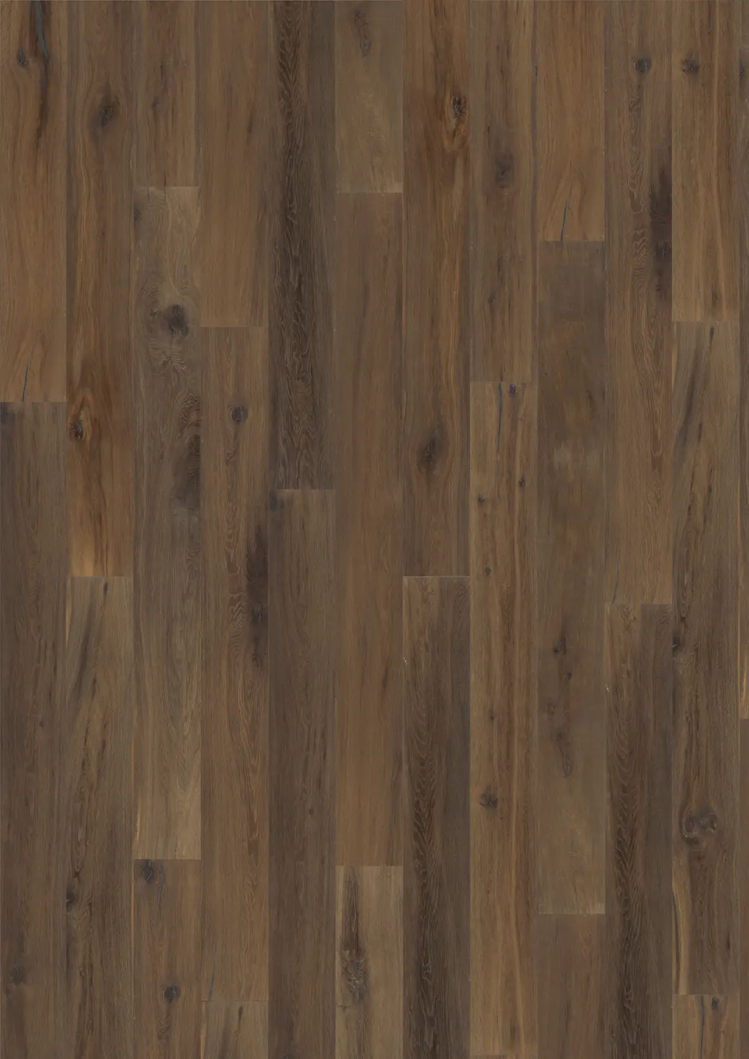 OAK EARTH