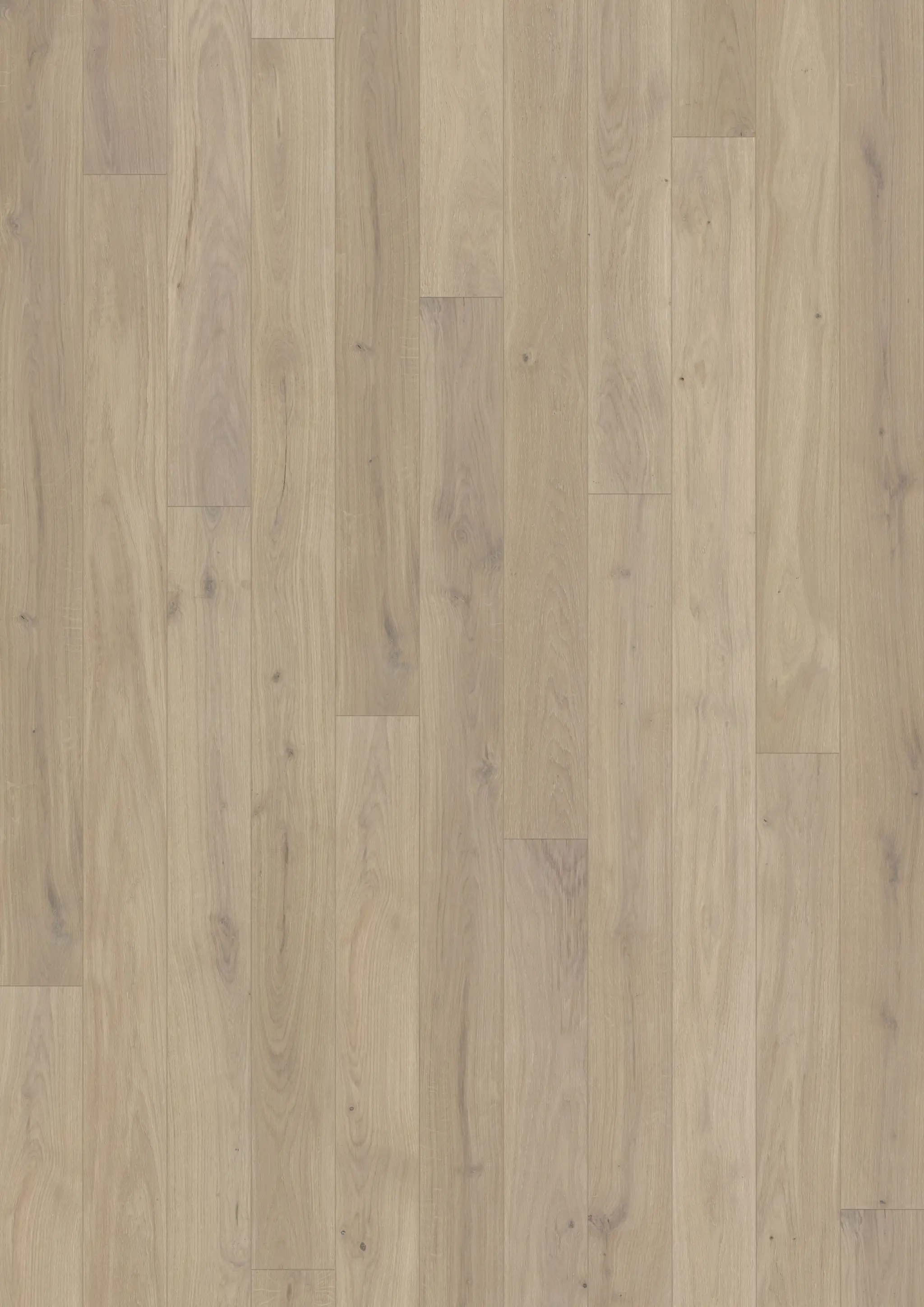OAK MUSE MATTE Floors Kährs