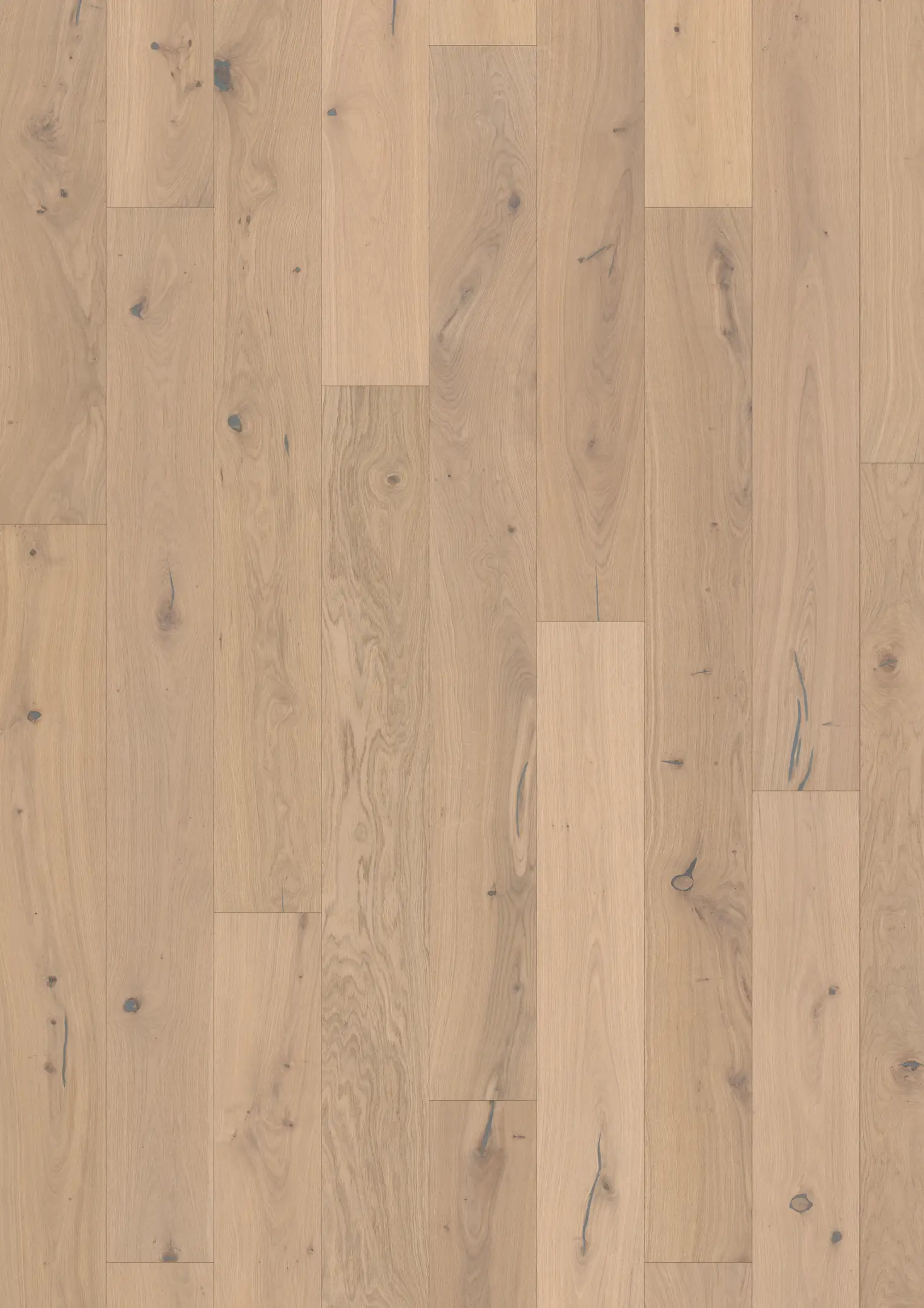 OAK LARUS Samples Kährs