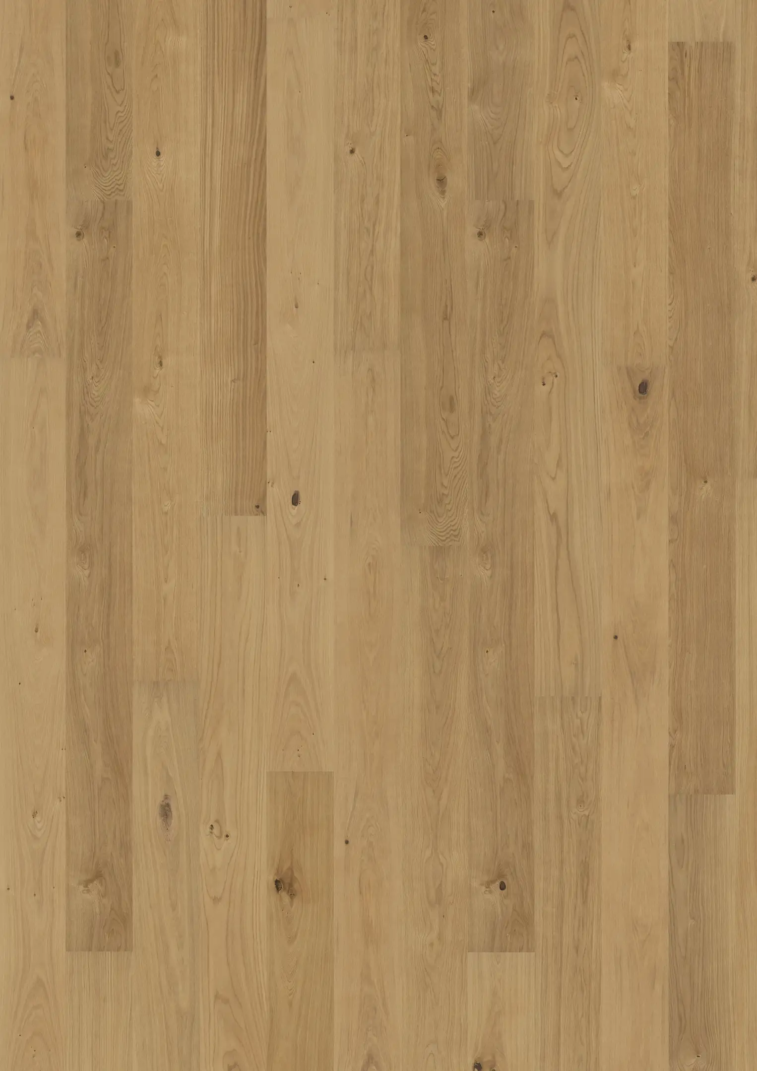 OAK SUN Samples Kährs