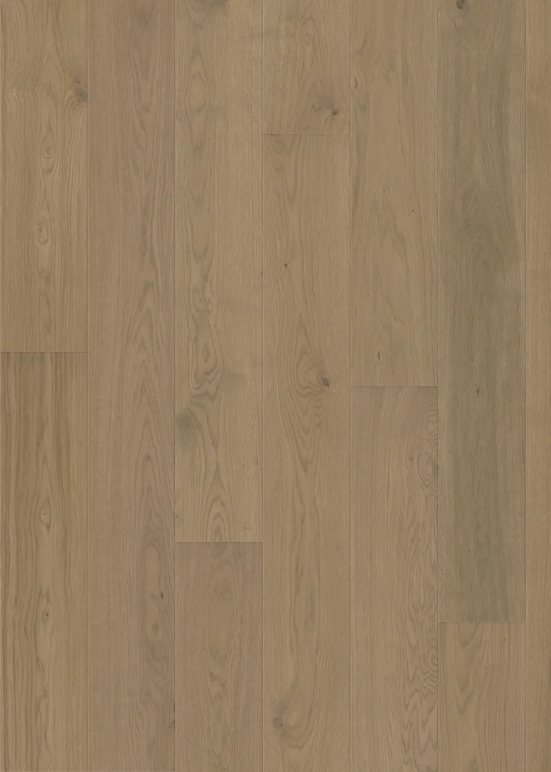 OAK REITER WIDE MATTE
