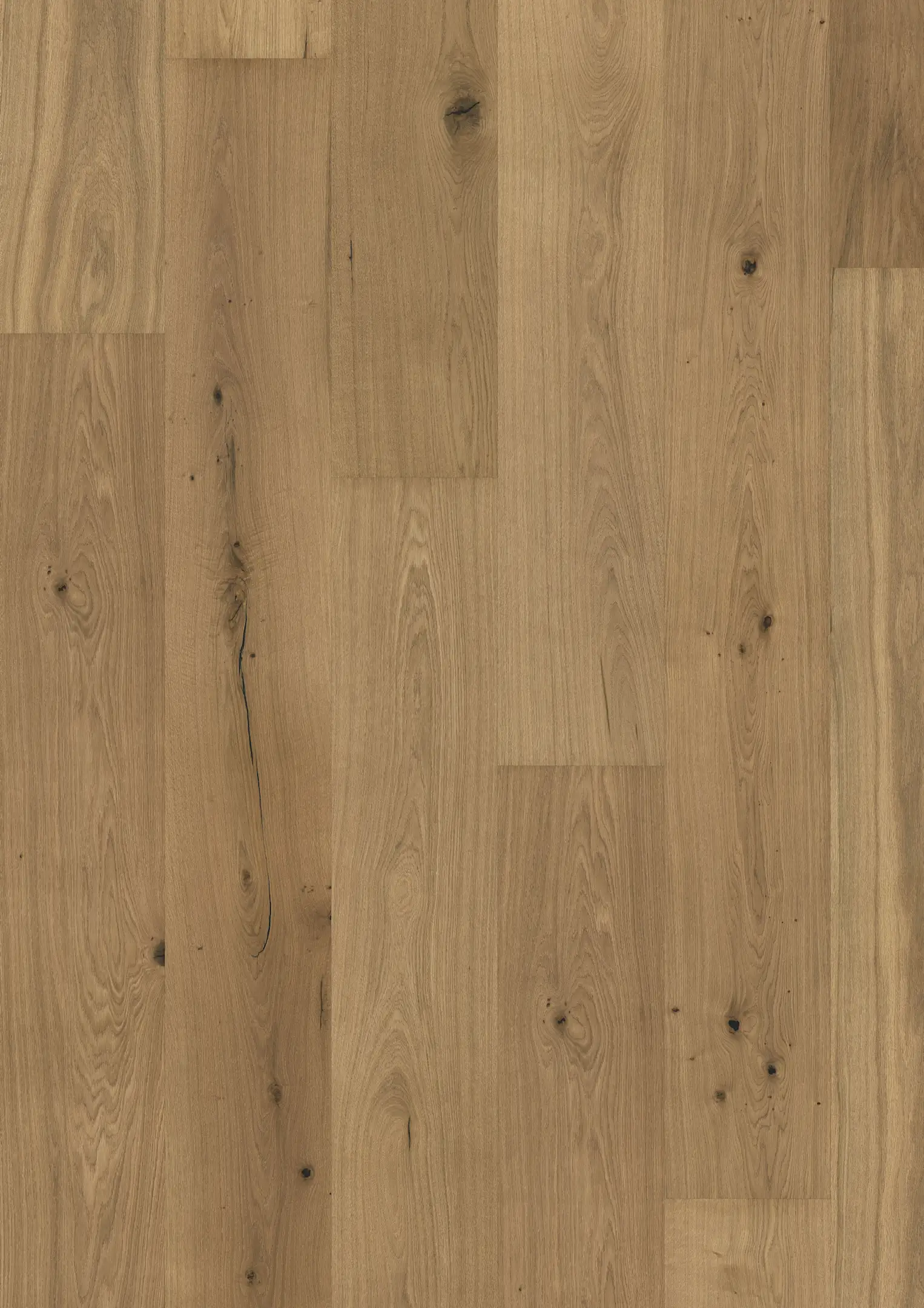 OAK SCHÖNBRUNN Samples Kährs