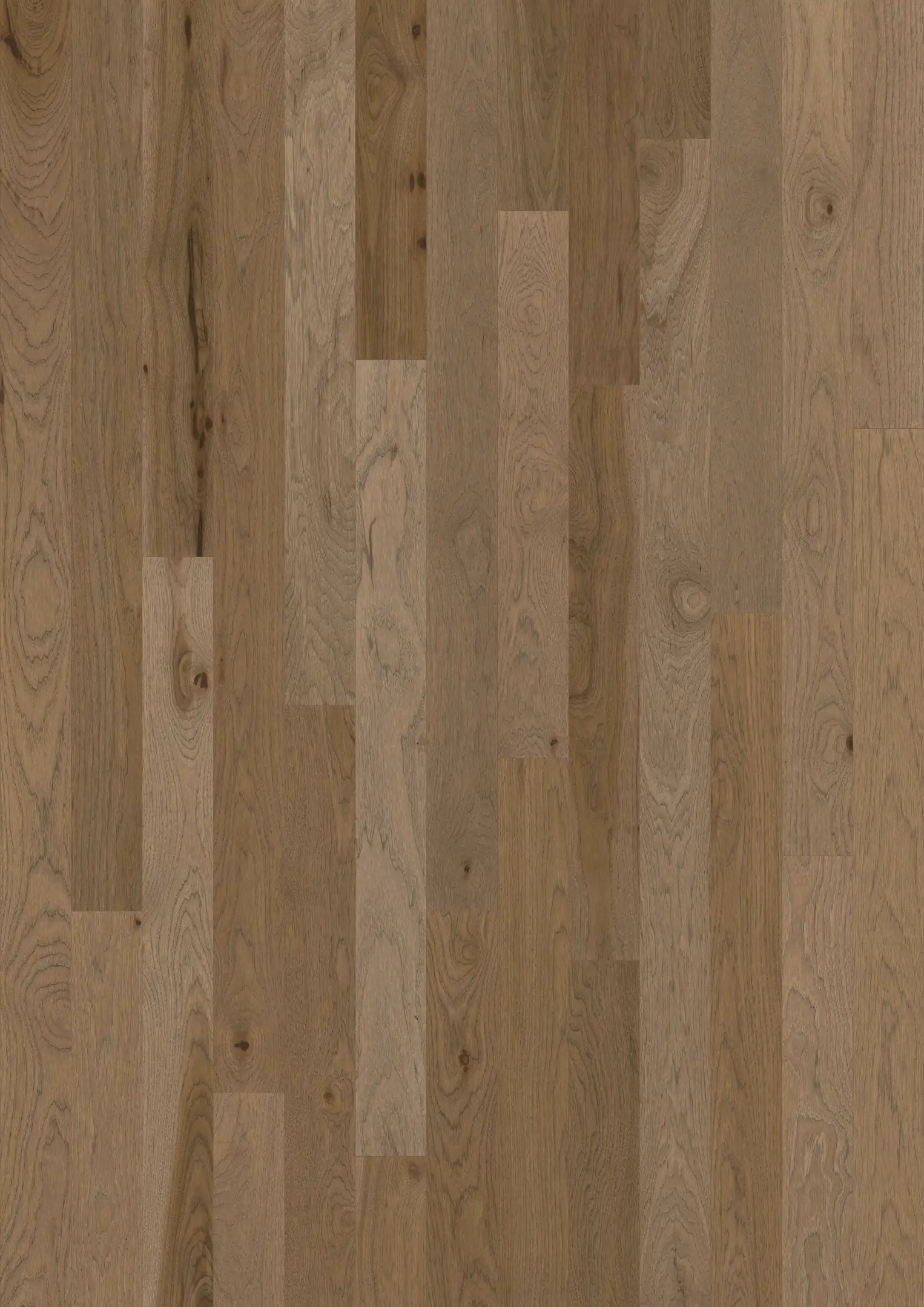 HICKORY FAIR LANE MATTE Floors Kährs