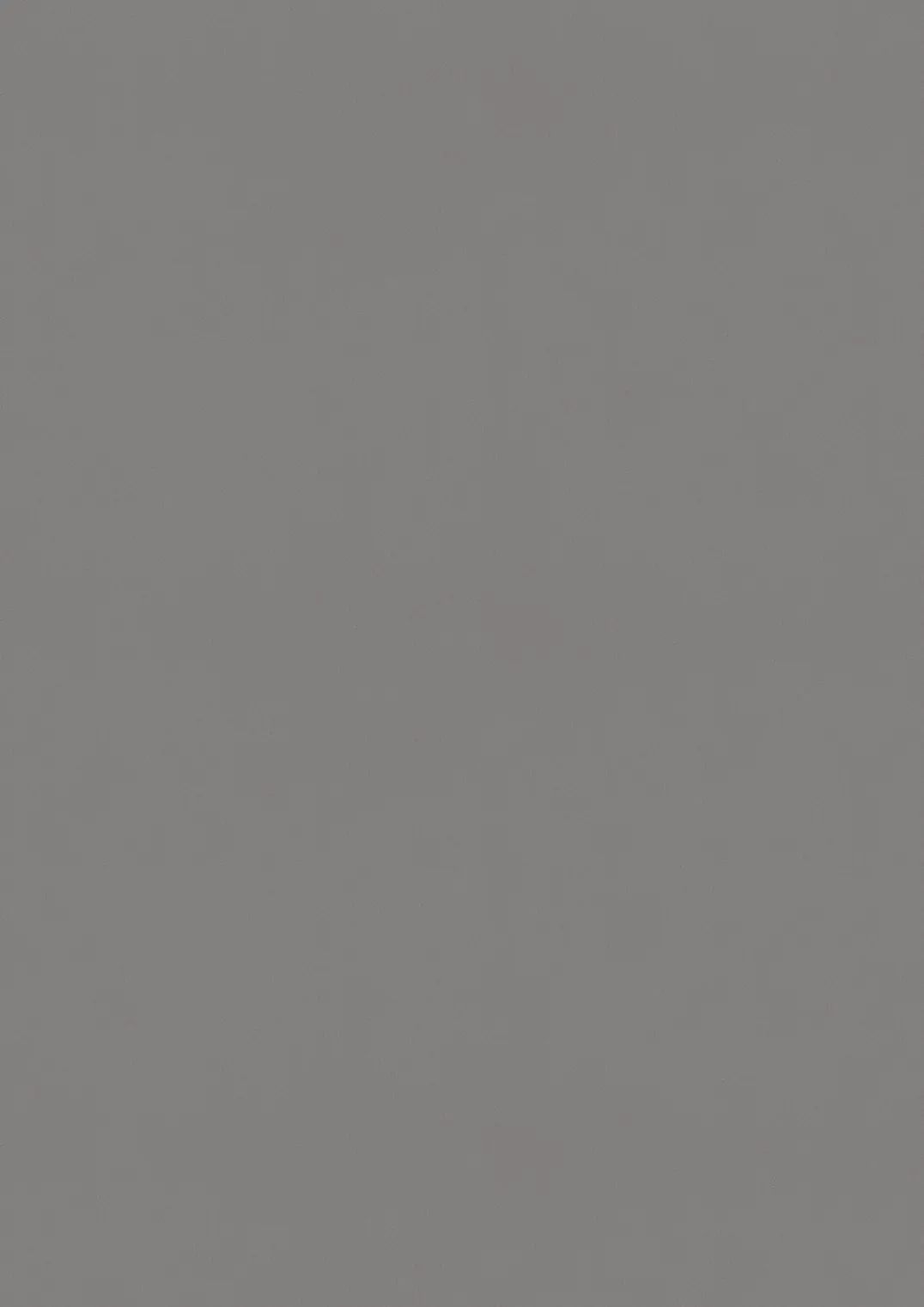 ESTRAD SAFETY R11/50 7751