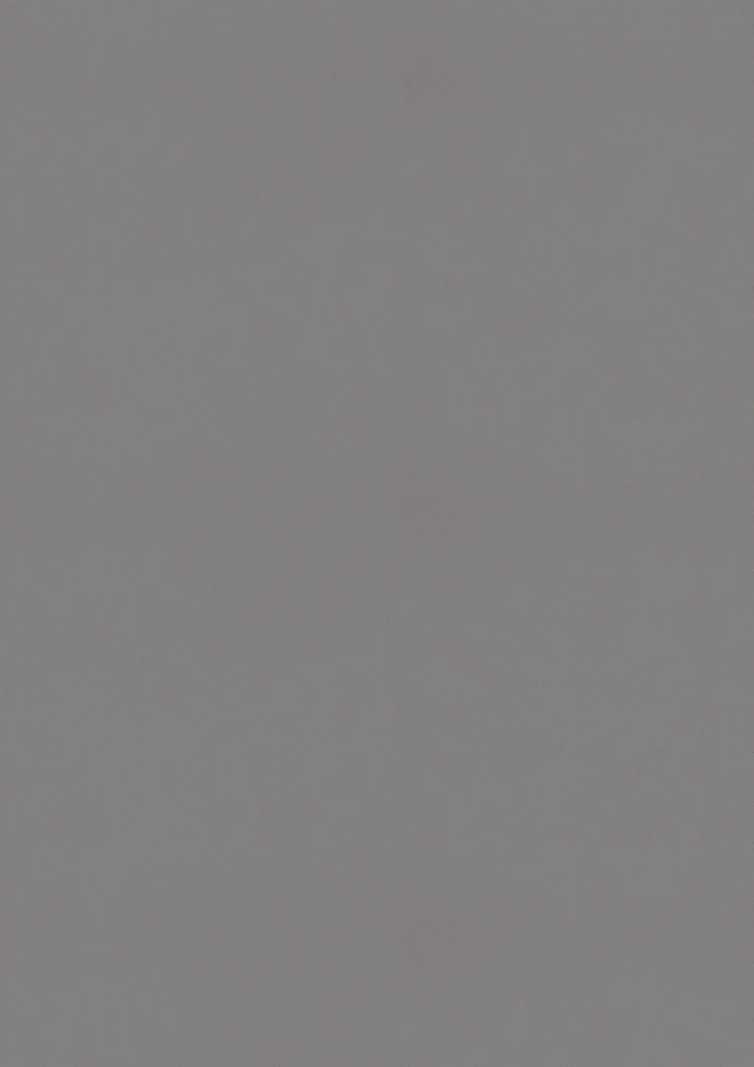 ESTRAD SAFETY R11/50 7751 Gulve Kährs